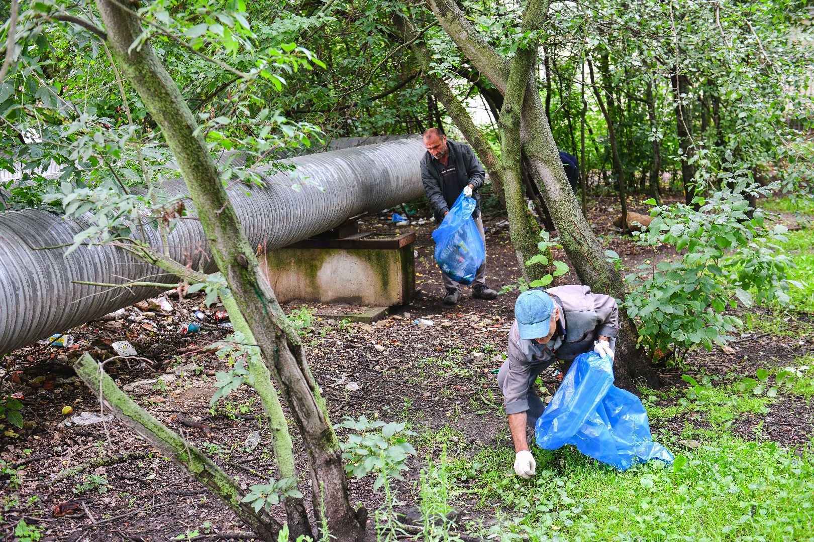 мусор, уборка, стекло, пластик,