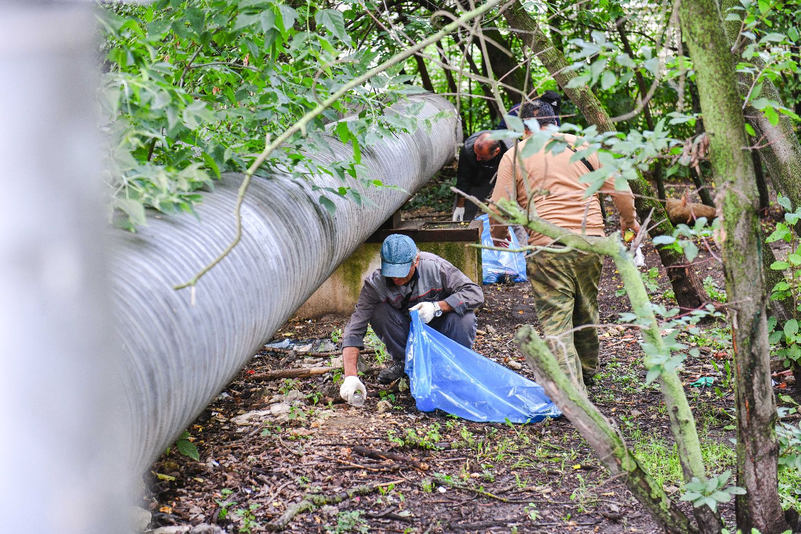 мусор, уборка, стекло, пластик,