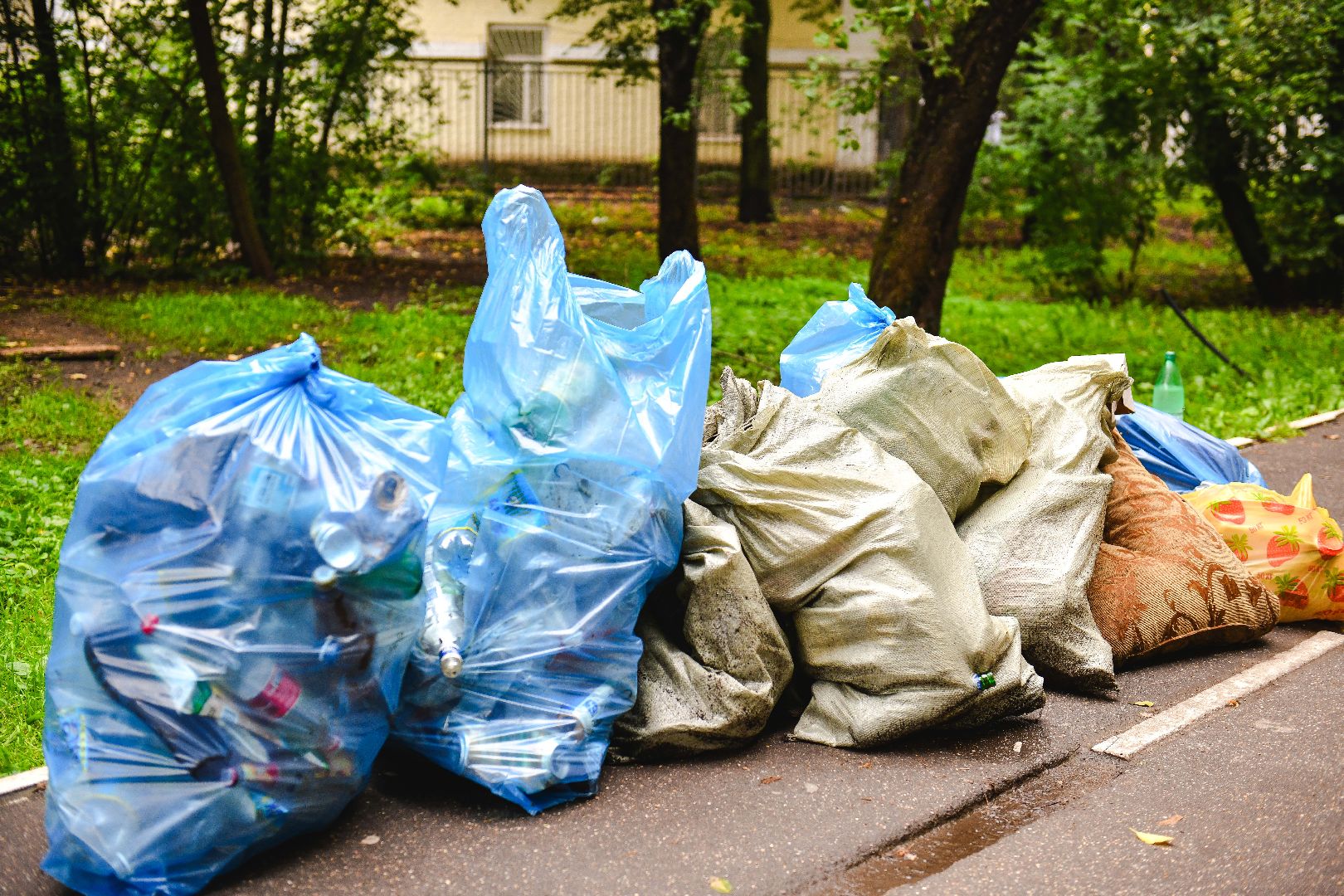 мусор, уборка, стекло, пластик,