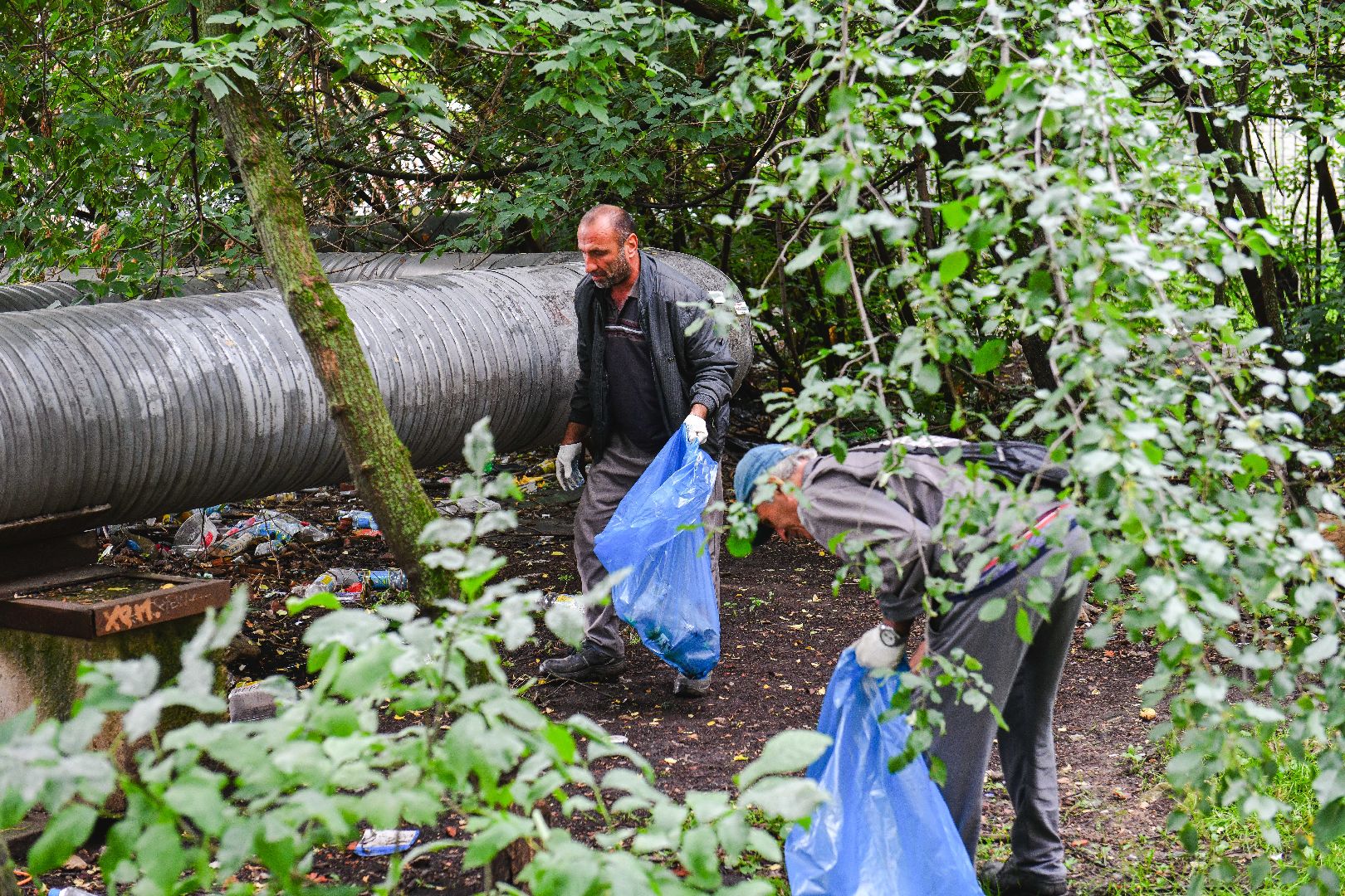 мусор, уборка, стекло, пластик,