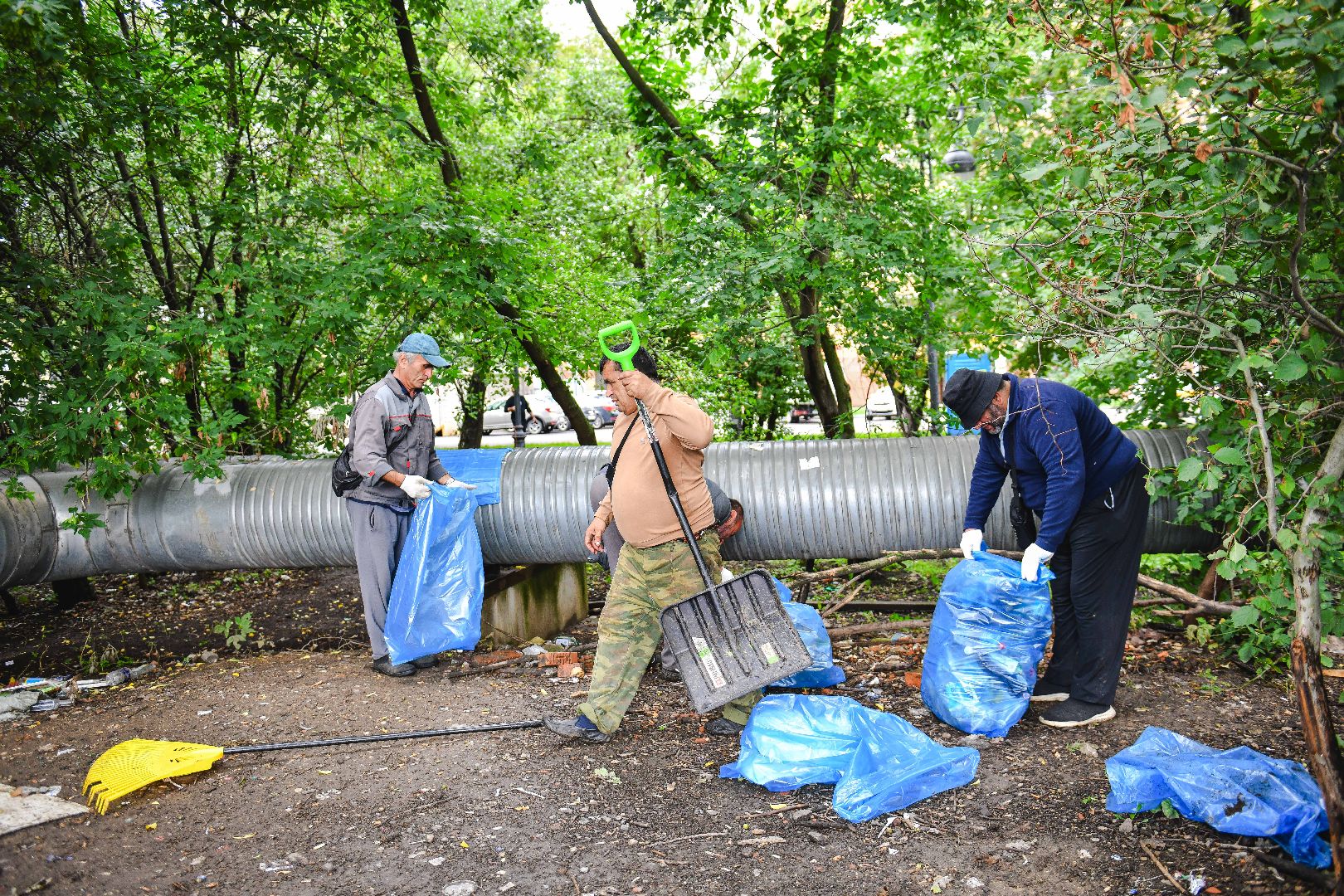 мусор, уборка, стекло, пластик,