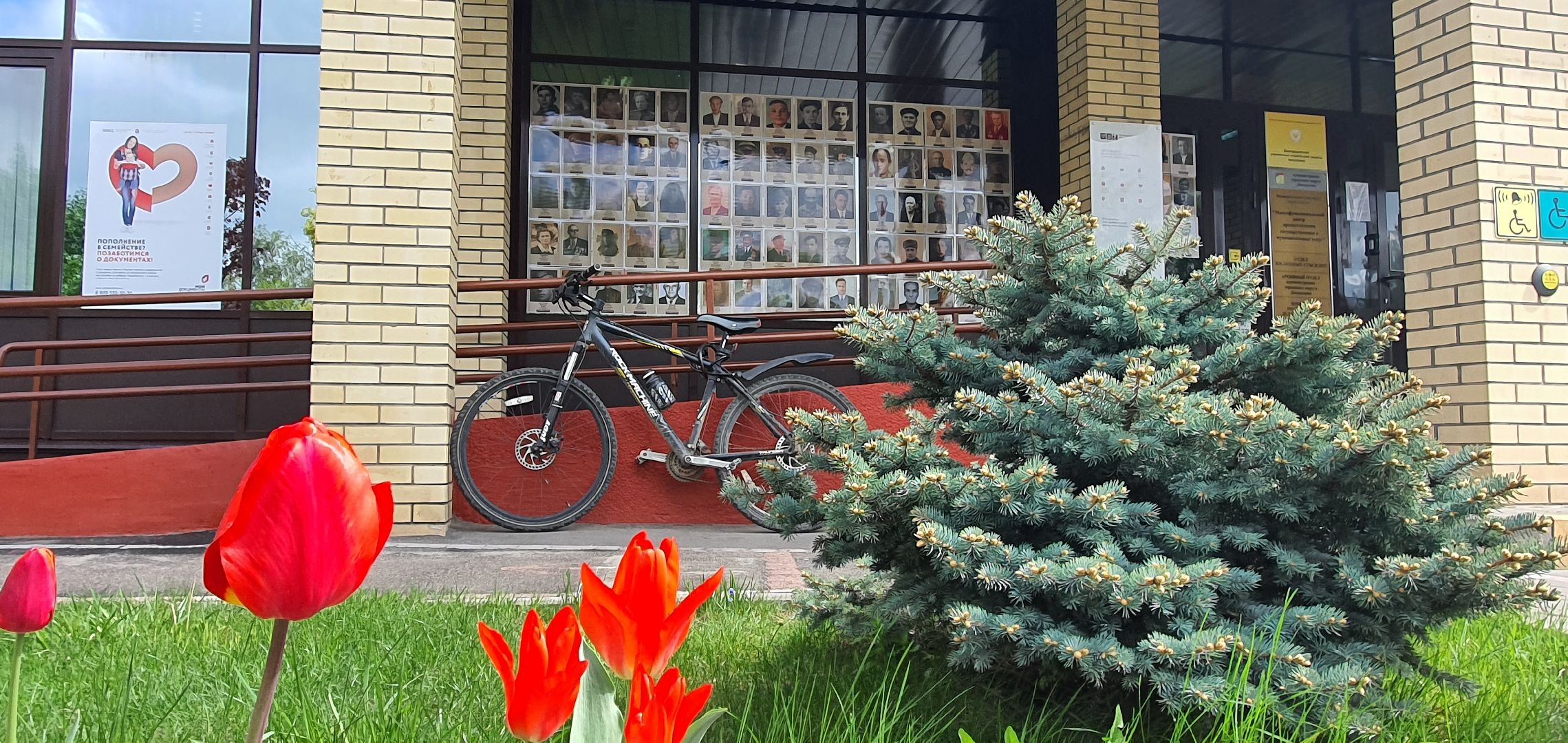 Бессмертный полк, МФЦ, Домодедово