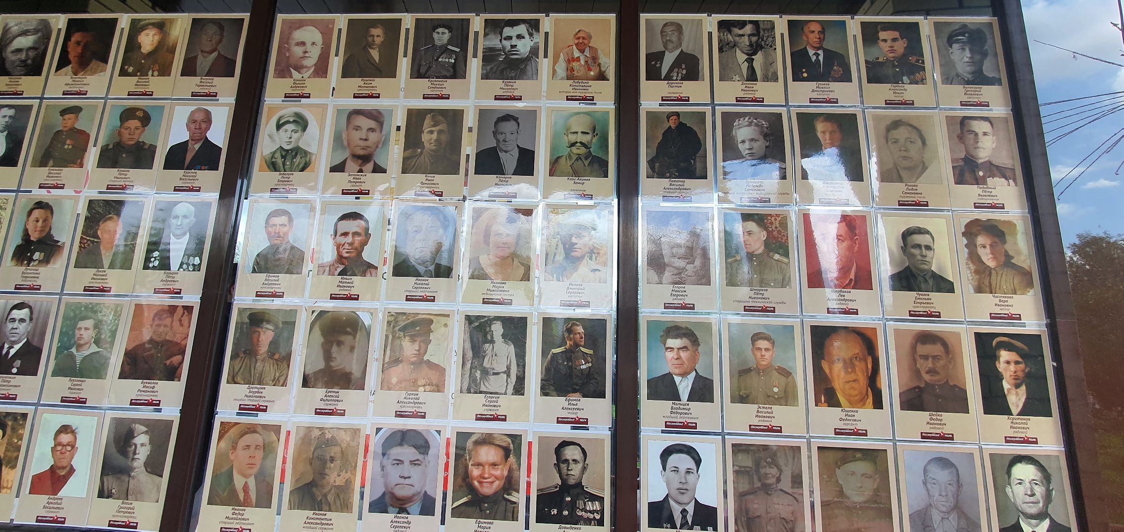 Бессмертный полк, МФЦ, Домодедово