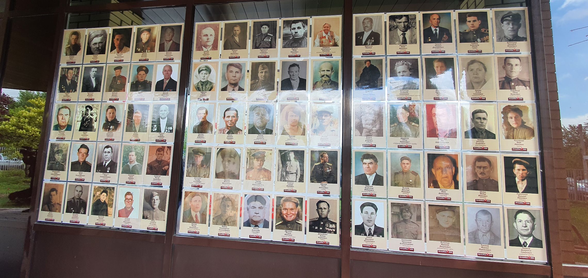 Бессмертный полк, МФЦ, Домодедово