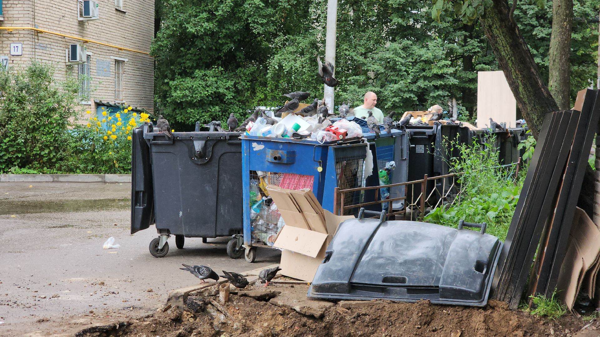 контейнерная площадка, Реконструкция контейнерной площадки , Лобня,