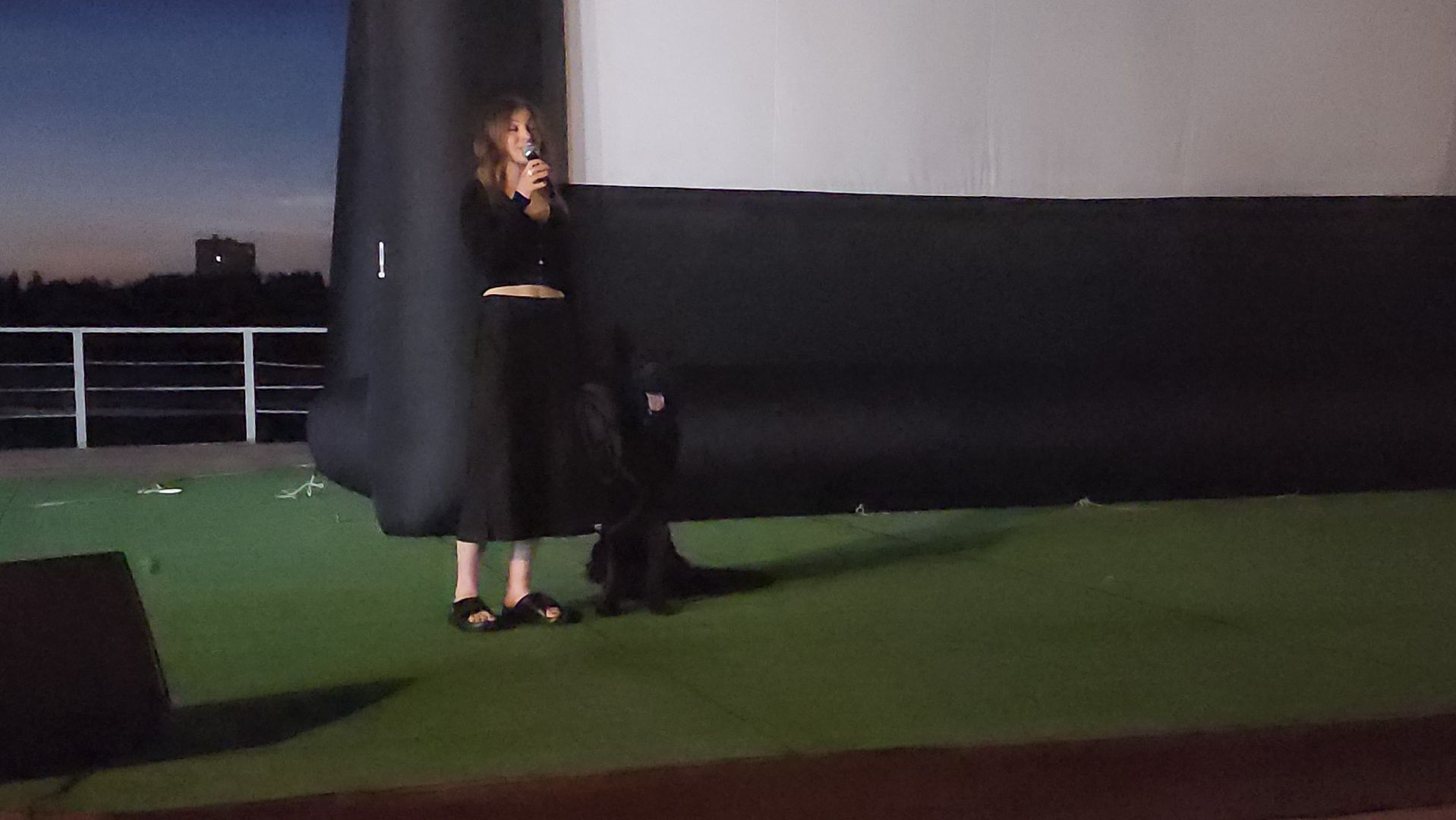 долгопрудный, x-легион, парк мысово, фронтовая собака, амфитеатр, кинопоказы под открытым небом, авторское кино,