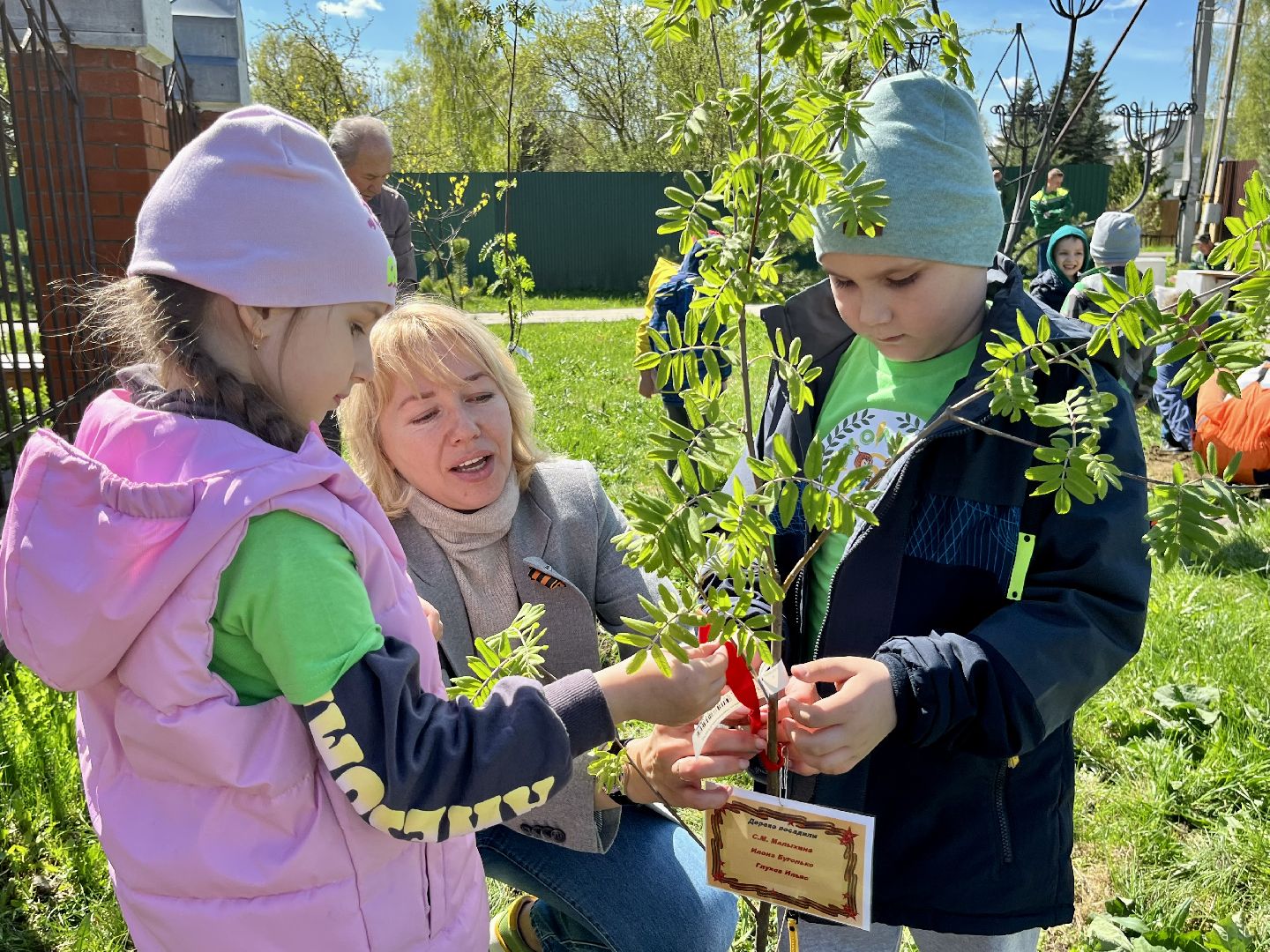 Наро-Фоминский городской округ, память, чтобы помнили, День Победы, посади дерево, благоустройство, Мособлдума, депутат, Александр Баранов