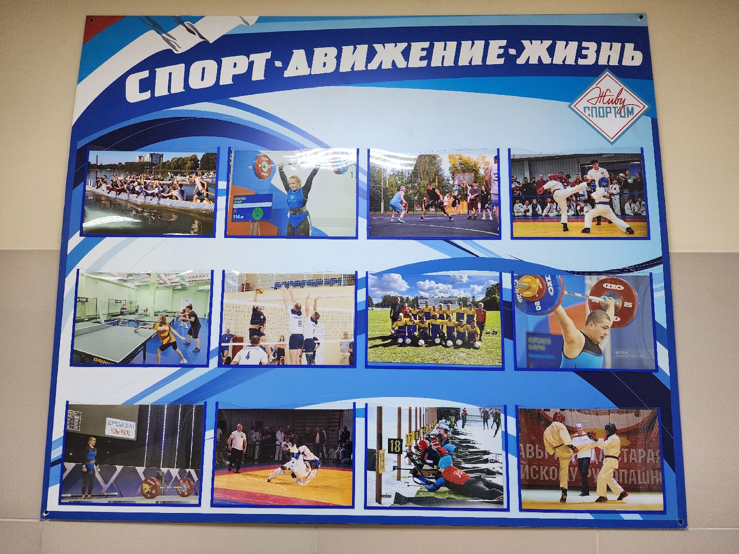 первенство мира, тяжелая атлетика, первенство мира по тяжелой атлетике, старая купавна, богородский городской округ,