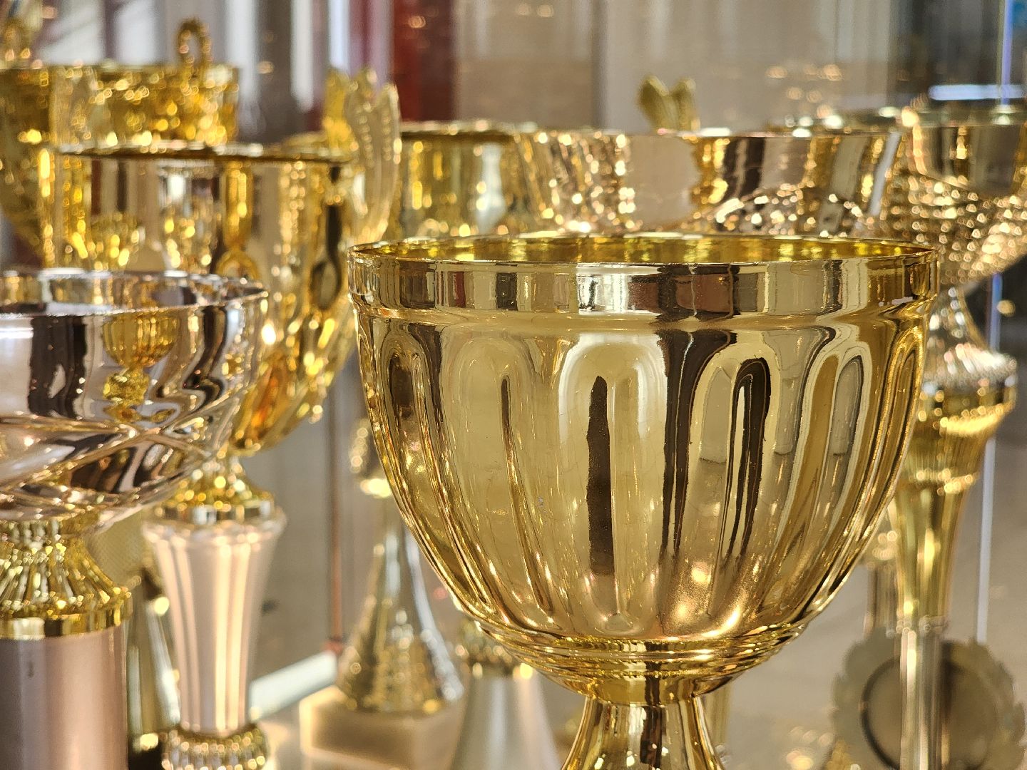 первенство мира, тяжелая атлетика, первенство мира по тяжелой атлетике, старая купавна, богородский городской округ,