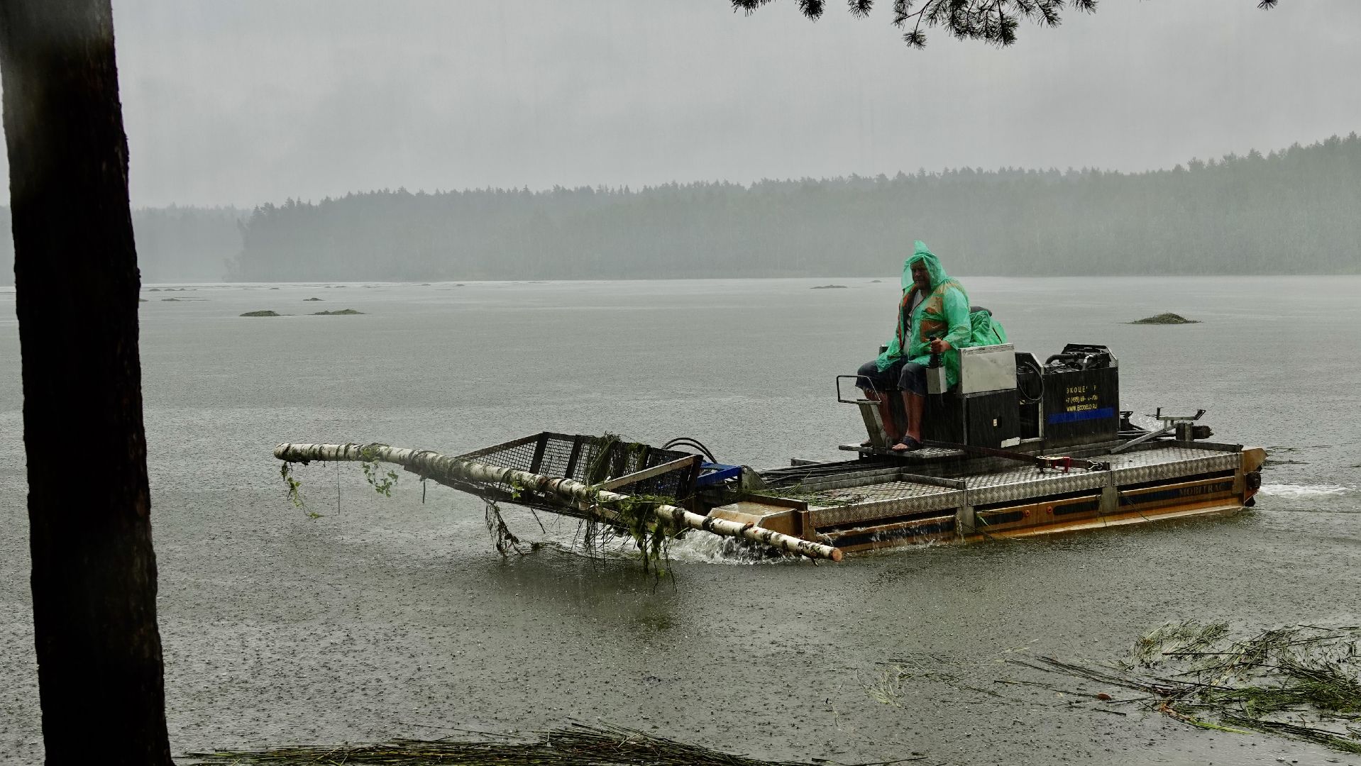 экология, водоемы, очистка прудов, сергиево-посадский городской округ,