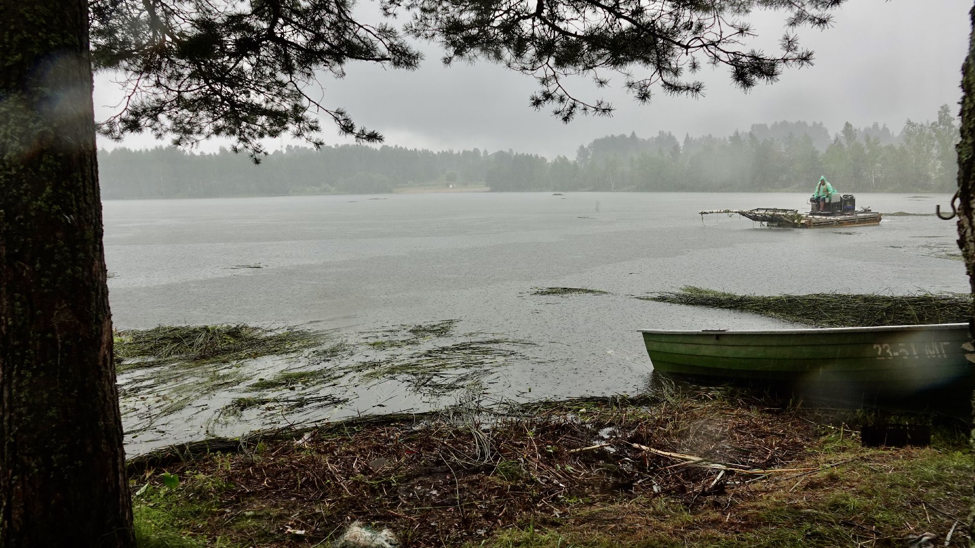 экология, водоемы, очистка прудов, сергиево-посадский городской округ,
