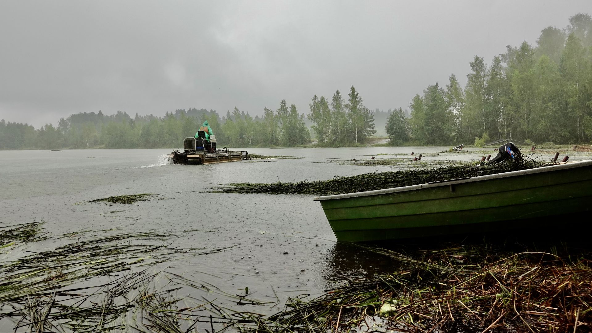 экология, водоемы, очистка прудов, сергиево-посадский городской округ,