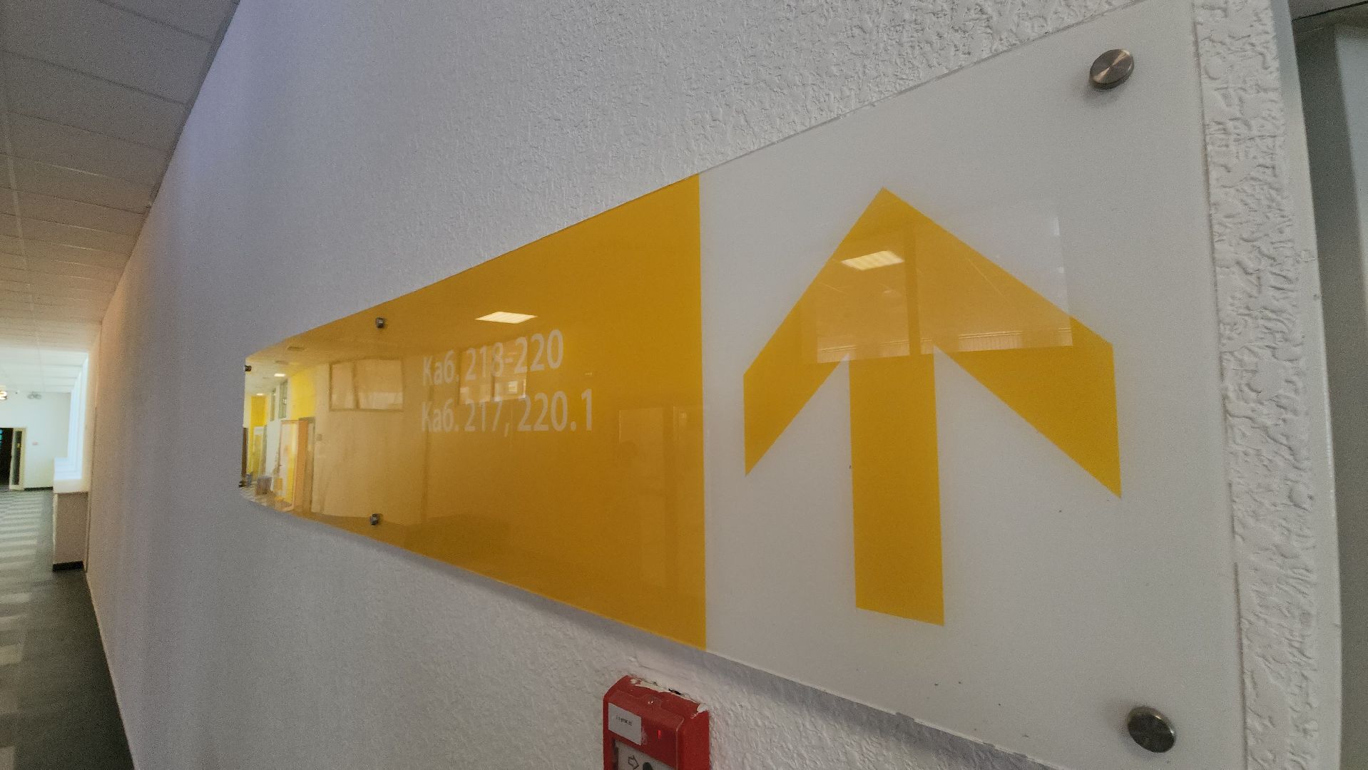 красногорск, школа полет, 1 сентября,