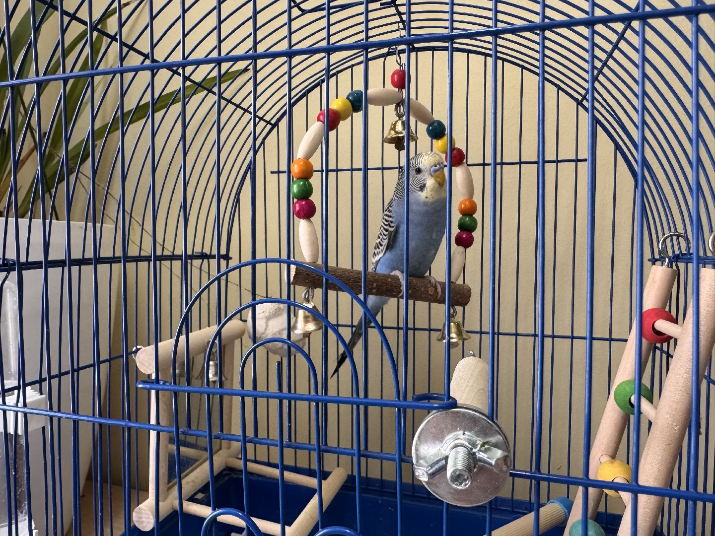 Подготовка к новому учебному году, Ремонт школы, Лесногородская школа, Одинцово,