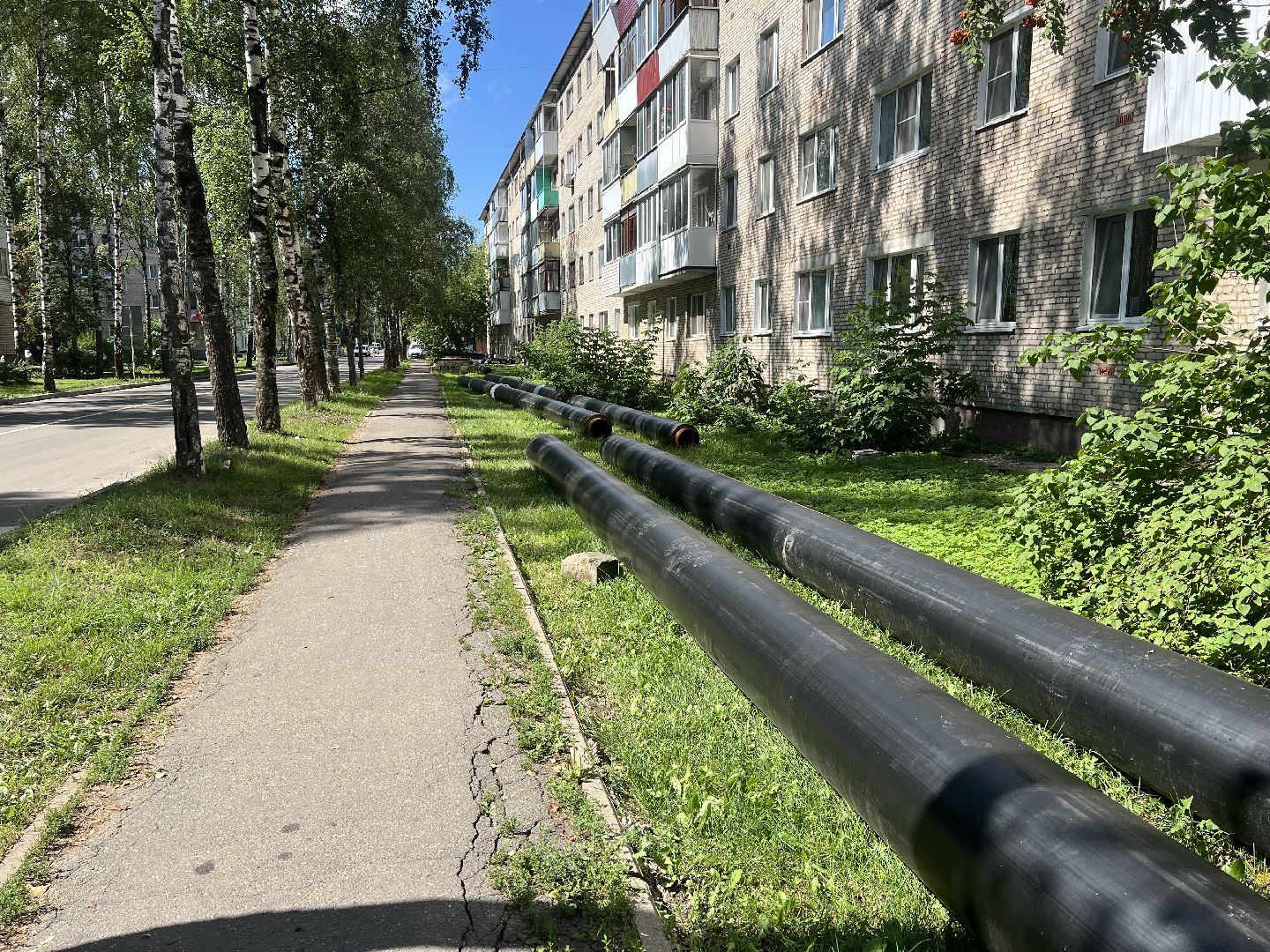 талдомский городской округ, Запрудня, теплосети,