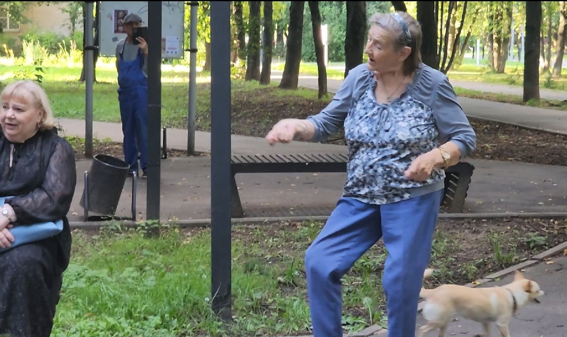 долгопрудный, международный день кошек, центральная библиотека, концерт, сквер, поющая строка, бездомные животные,