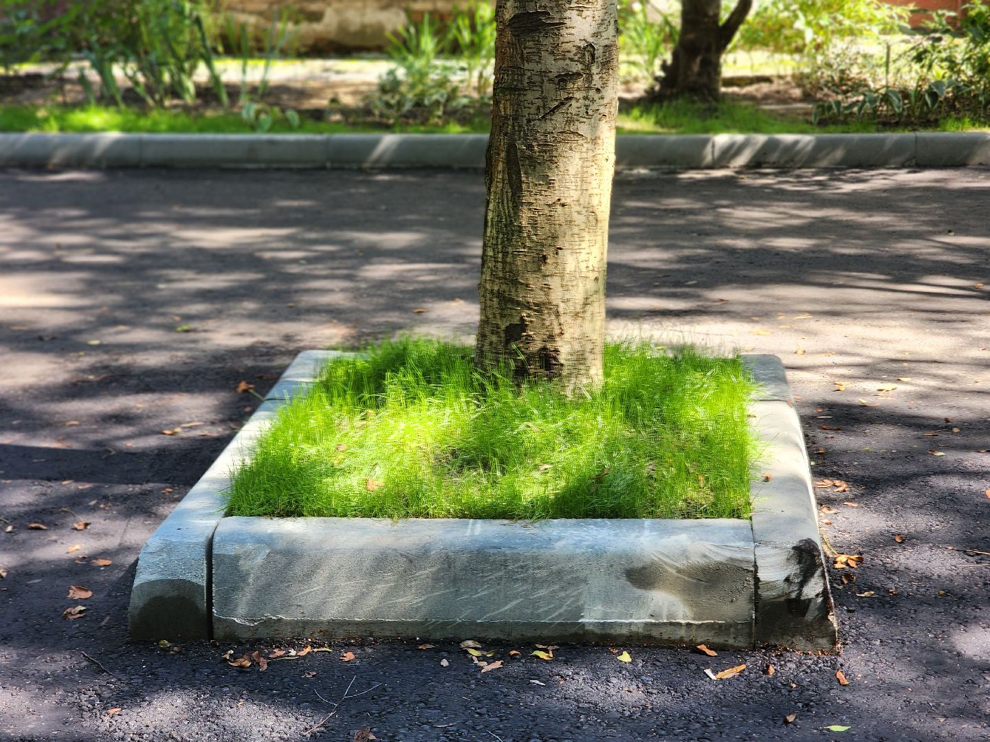 королёв, новый асфальт на улице Толстого,  администрация округа,