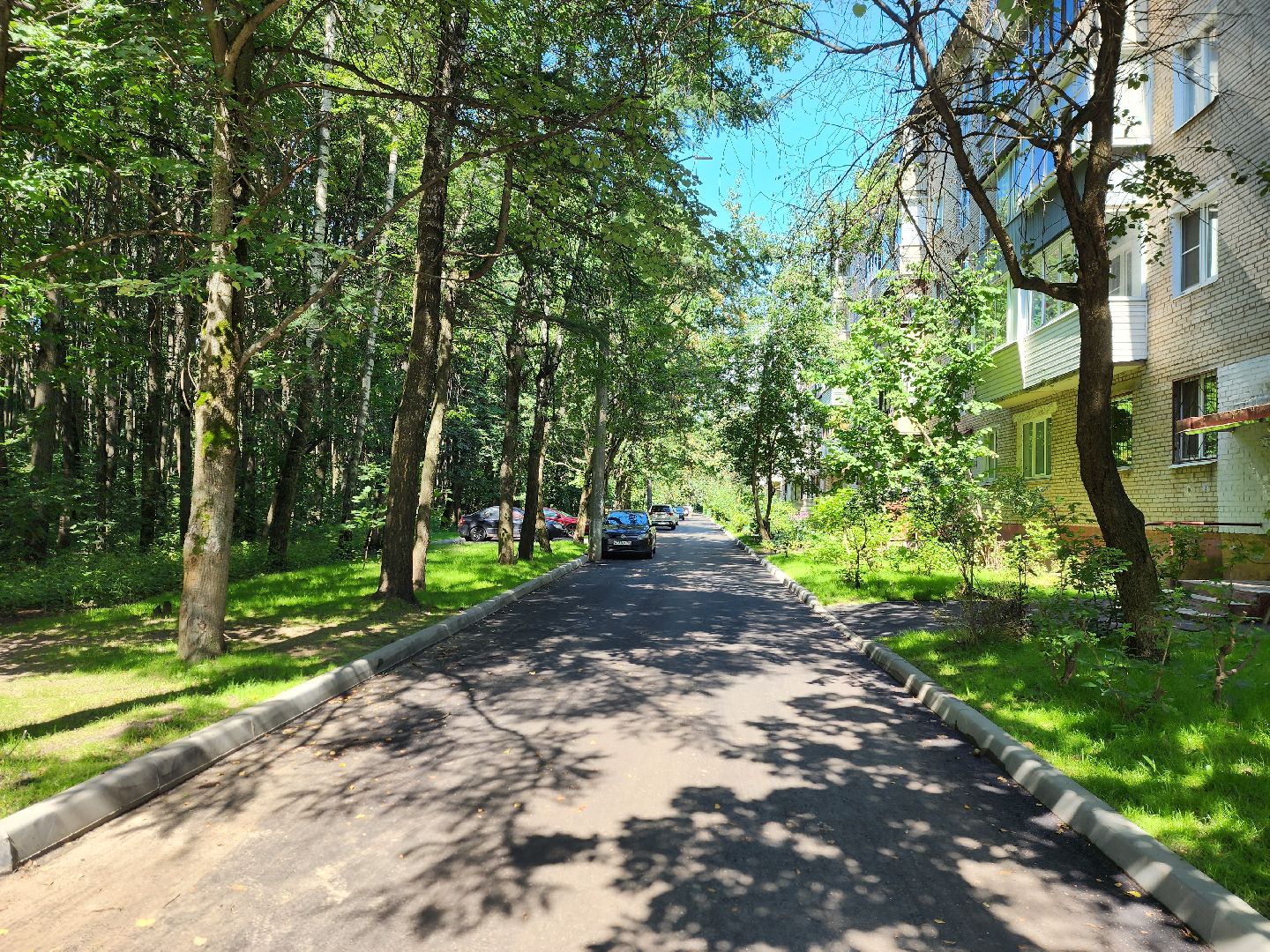 королёв, новый асфальт на улице Толстого,  администрация округа,