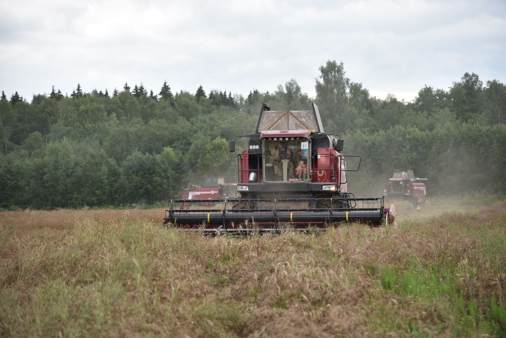 лотошино, сельское хозяйство,  уборка урожая,