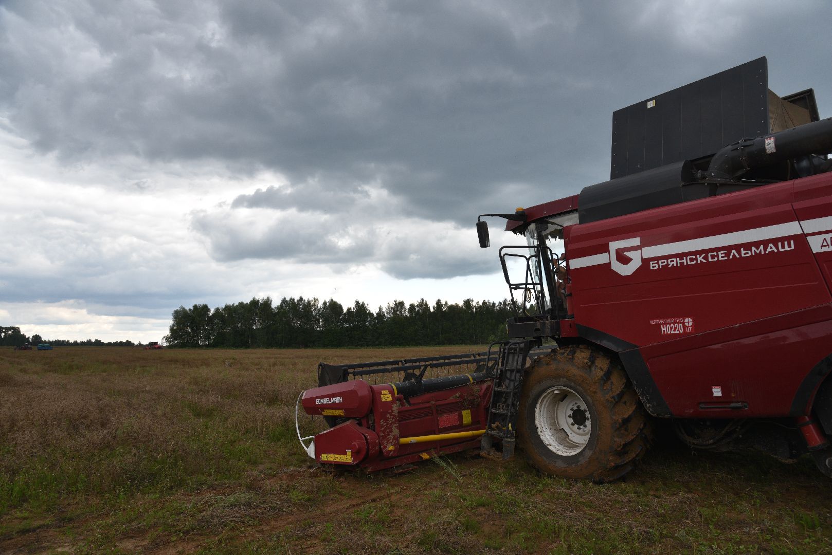 лотошино, сельское хозяйство,  уборка урожая,