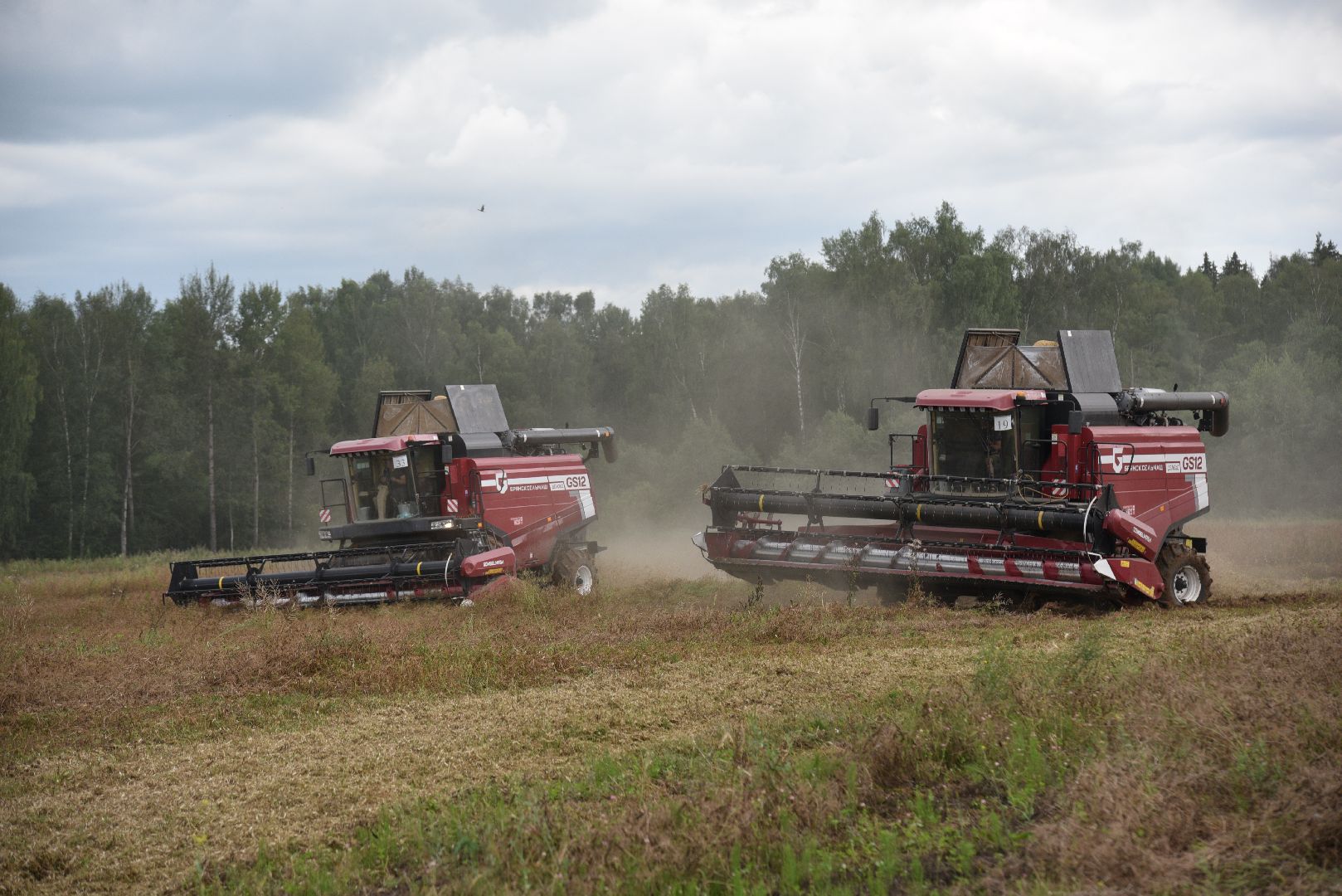 лотошино, сельское хозяйство,  уборка урожая,