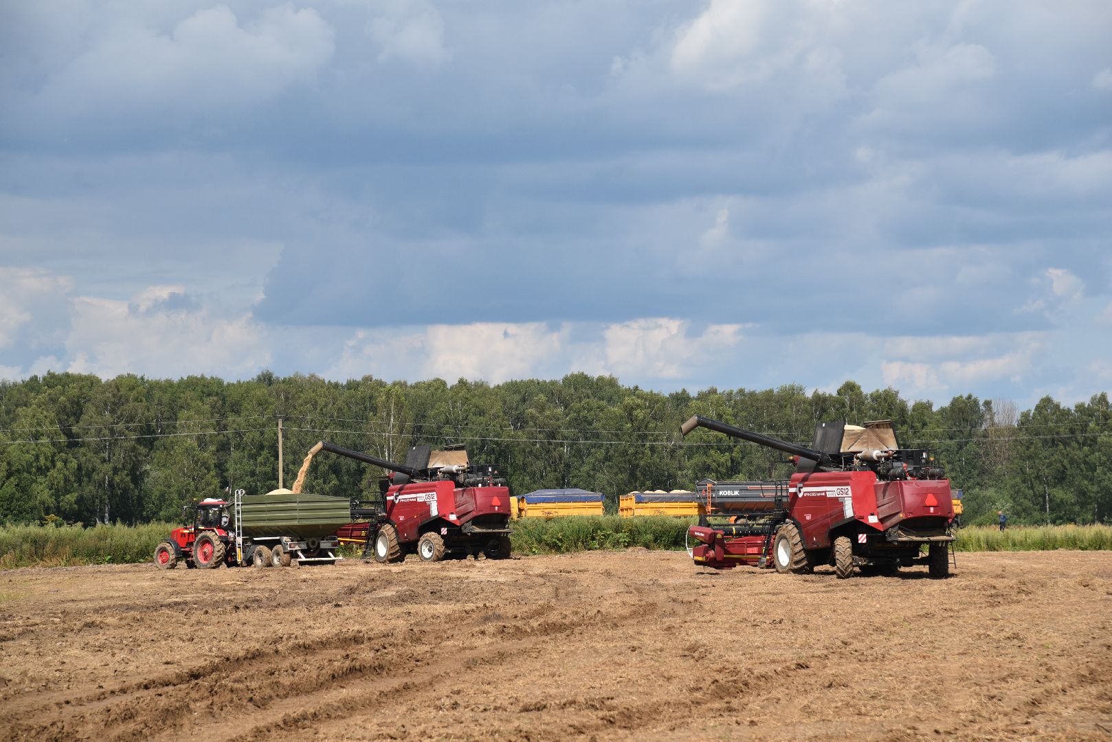 лотошино, сельское хозяйство,  уборка урожая,