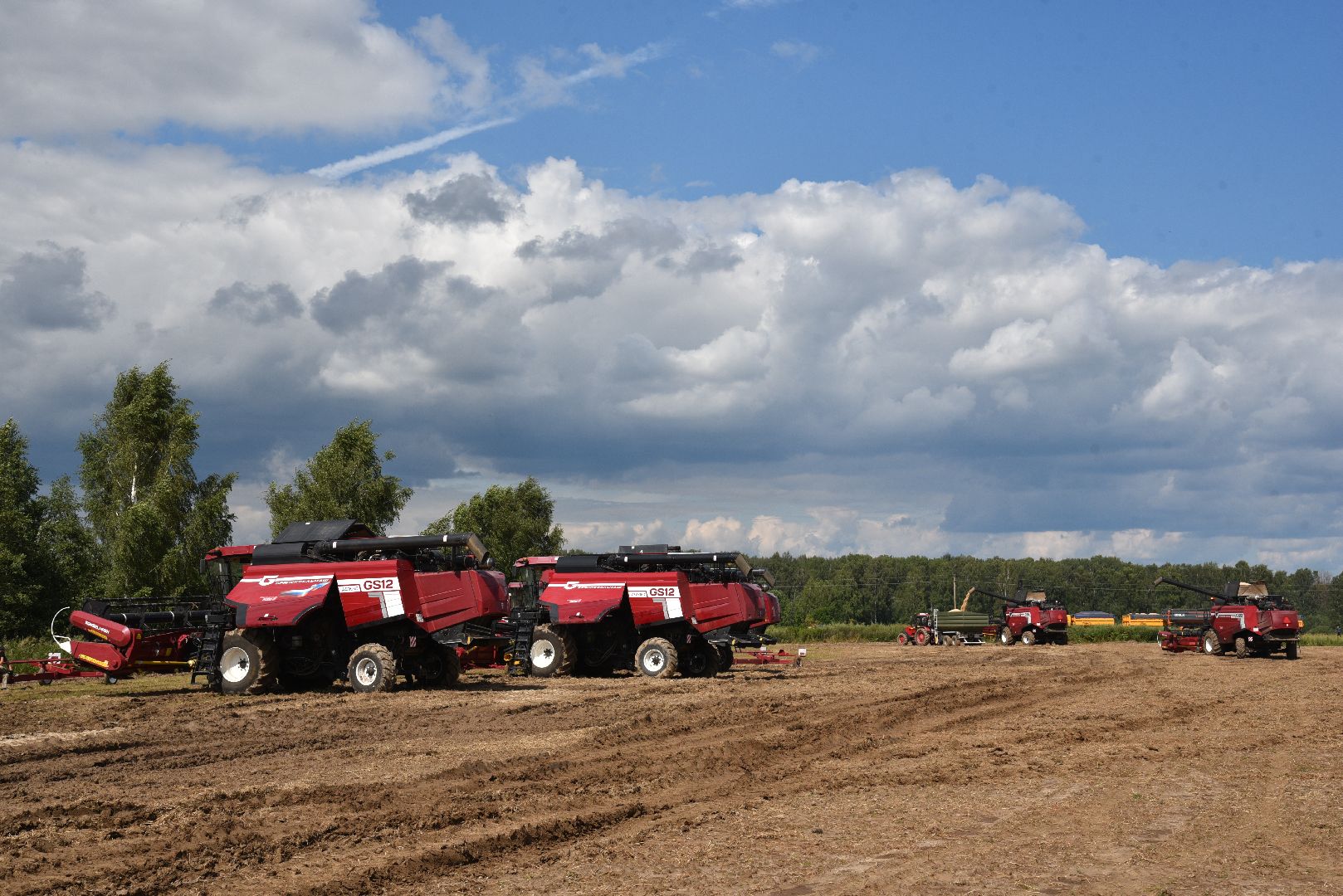 лотошино, сельское хозяйство,  уборка урожая,