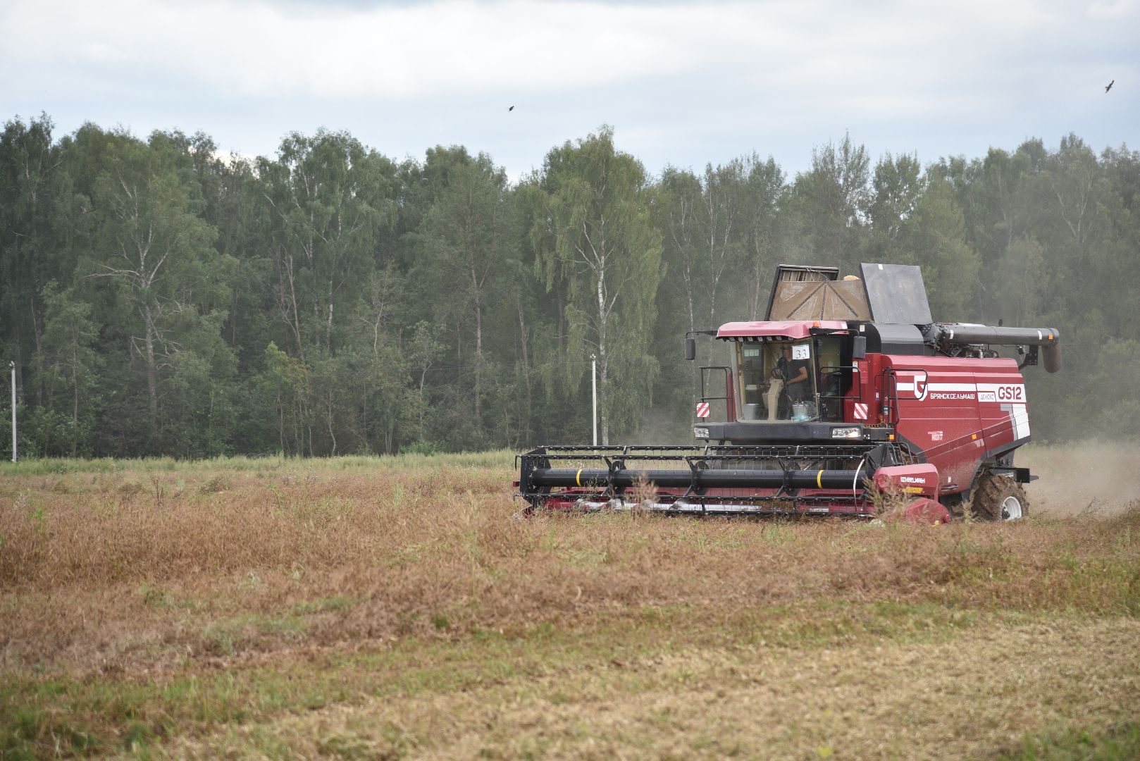 лотошино, сельское хозяйство,  уборка урожая,