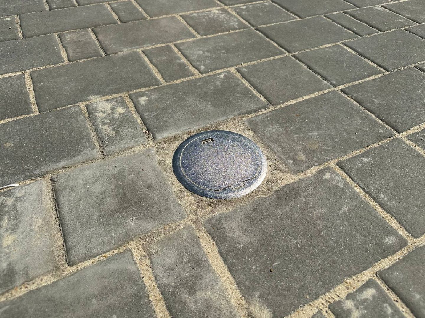 сквер, колледж, домодедово,