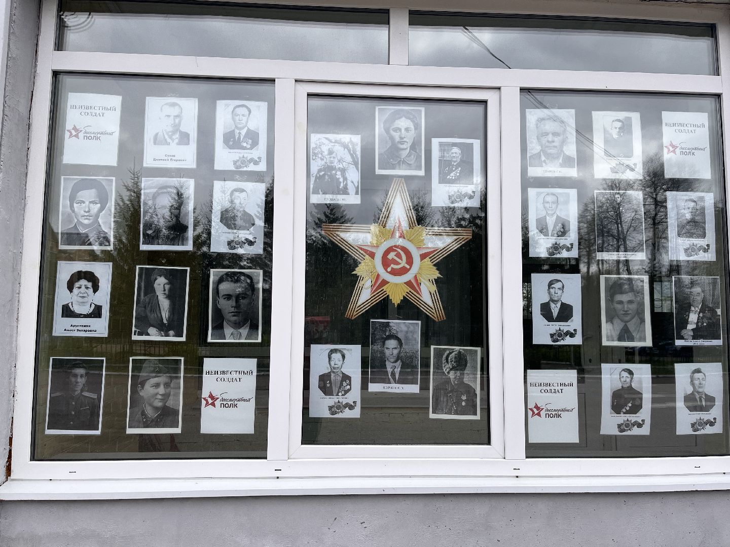 Шаховская, юнармия, движение