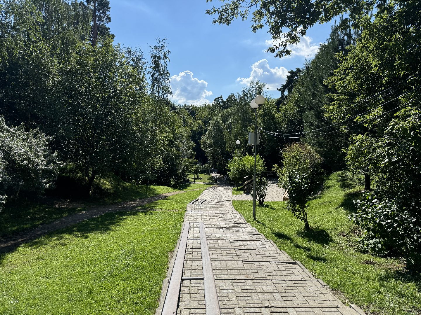 перепись воробьев, ленинский городской округ, воробей,