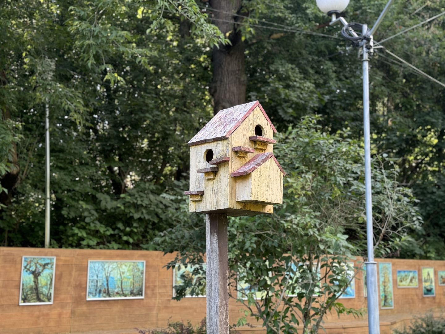 перепись воробьев, ленинский городской округ, воробей,