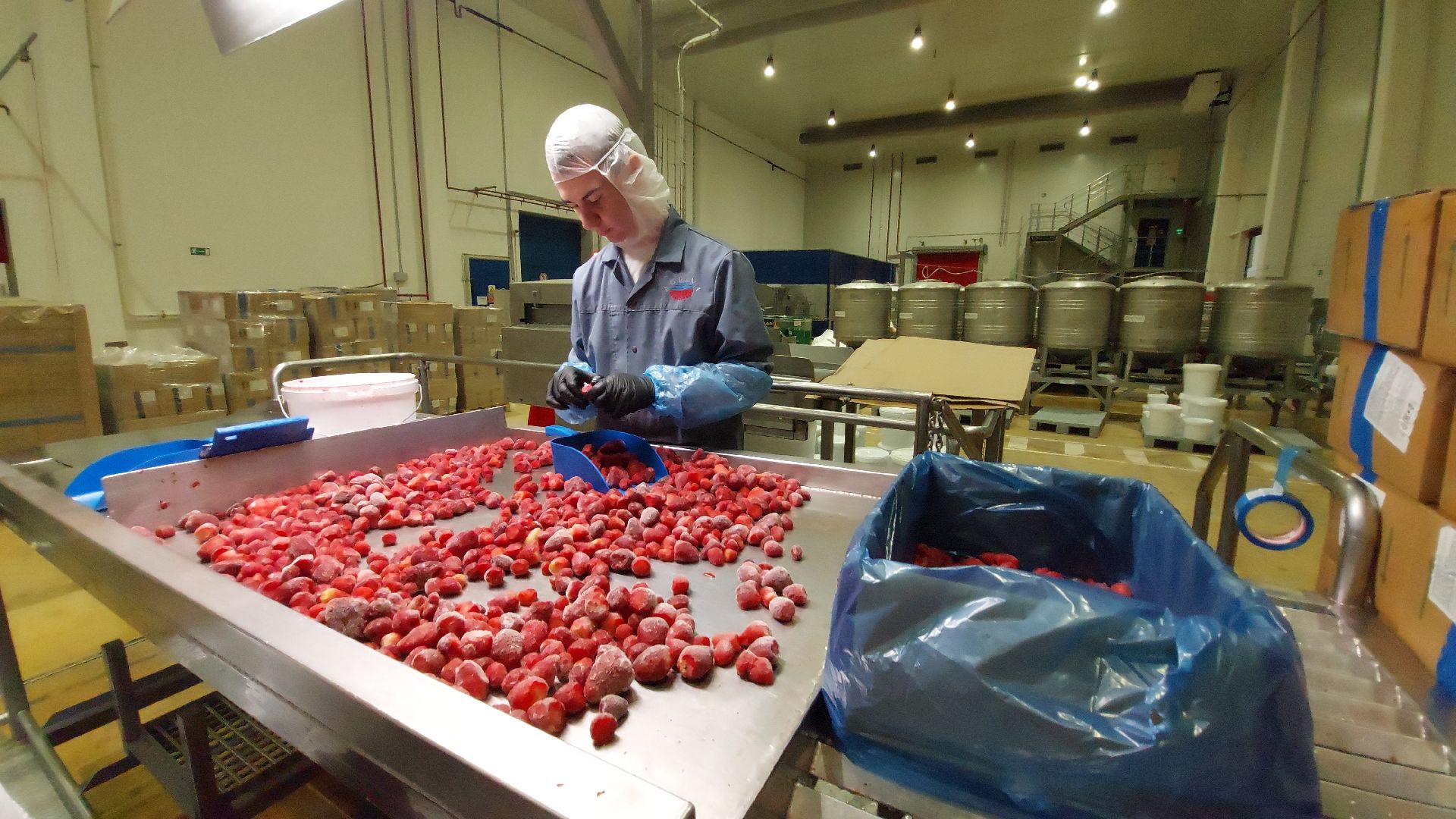 серпухов, завод фруктовых наполнителей, предприятия серпухова, улица фестивальная,завод аграна фрут,