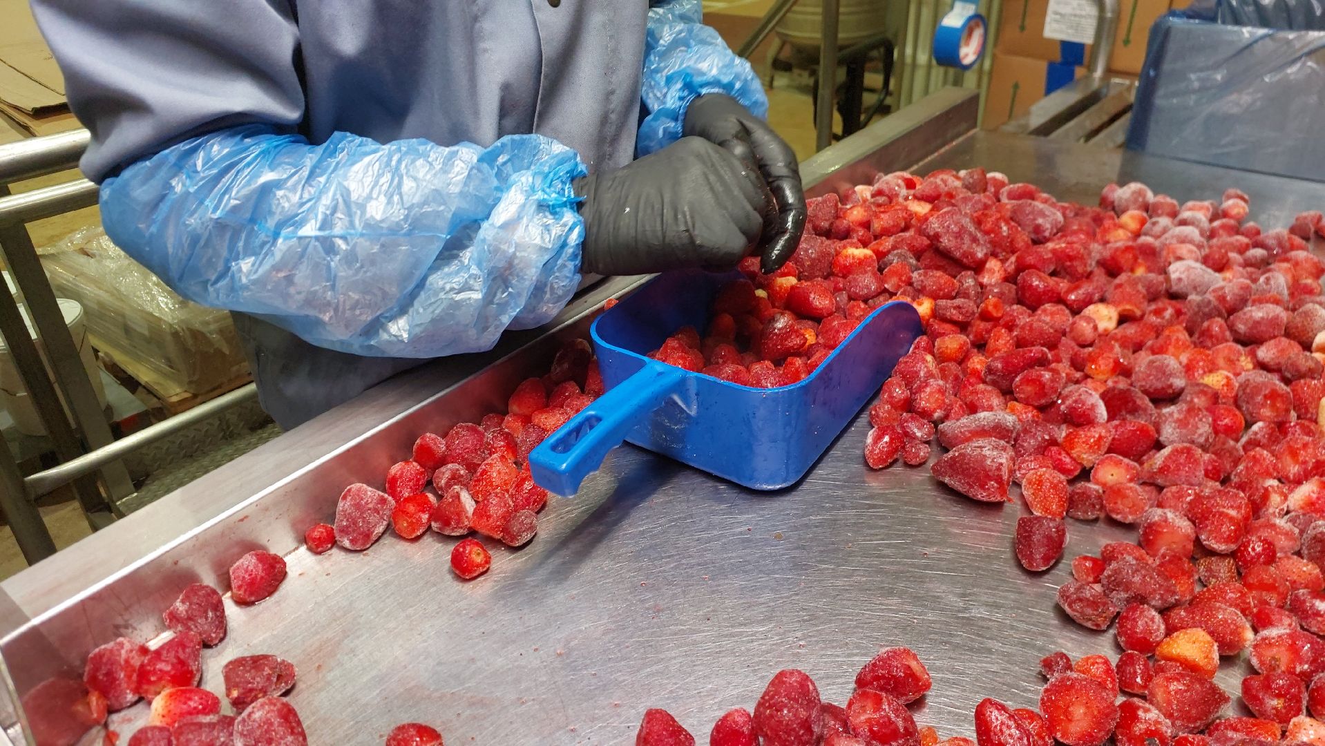 серпухов, завод фруктовых наполнителей, предприятия серпухова, улица фестивальная,завод аграна фрут,