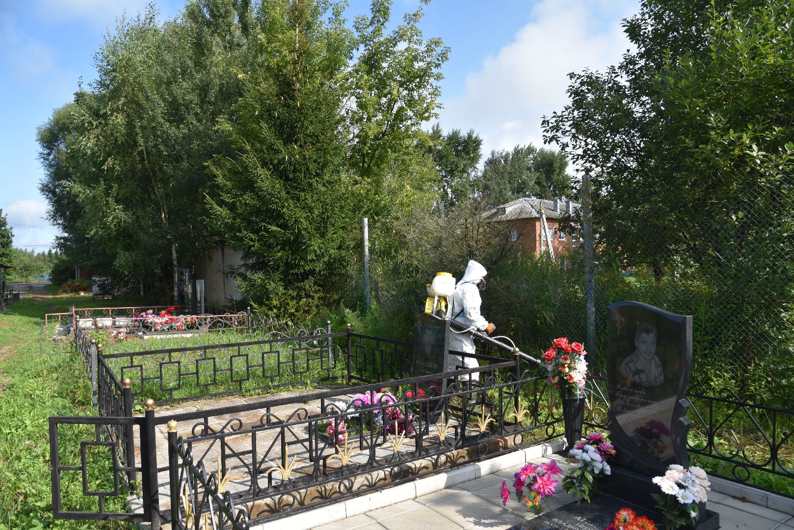 лотошино, сельское хозяйство, борщевик сосновского, экология,