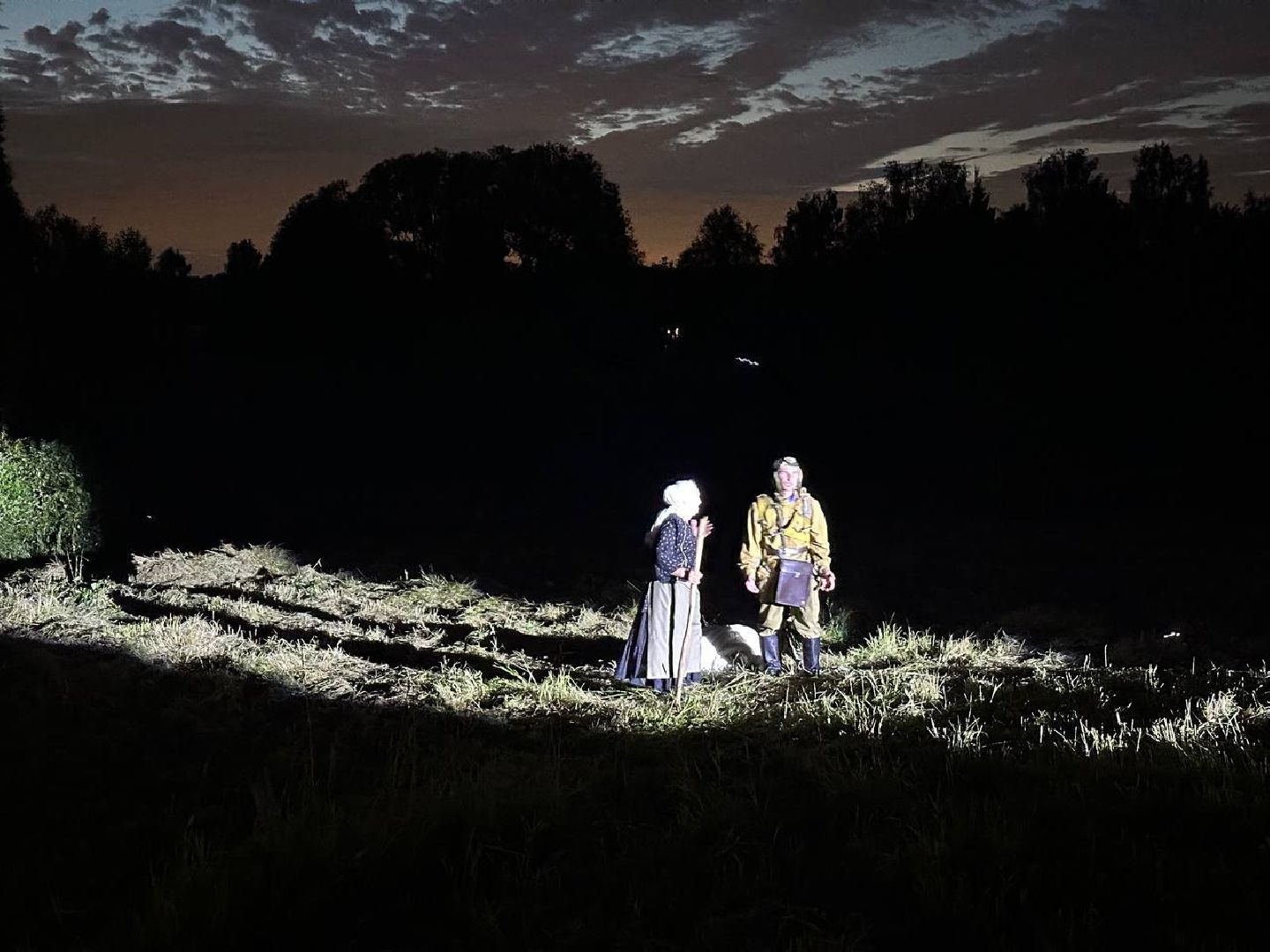 культура, домодедово, подвиг летчиков,