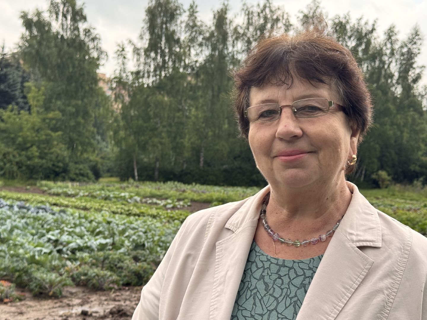 Федеральный научный центр овощеводства, Новые сорта и гибриды, декоративная капуста, Одинцово,