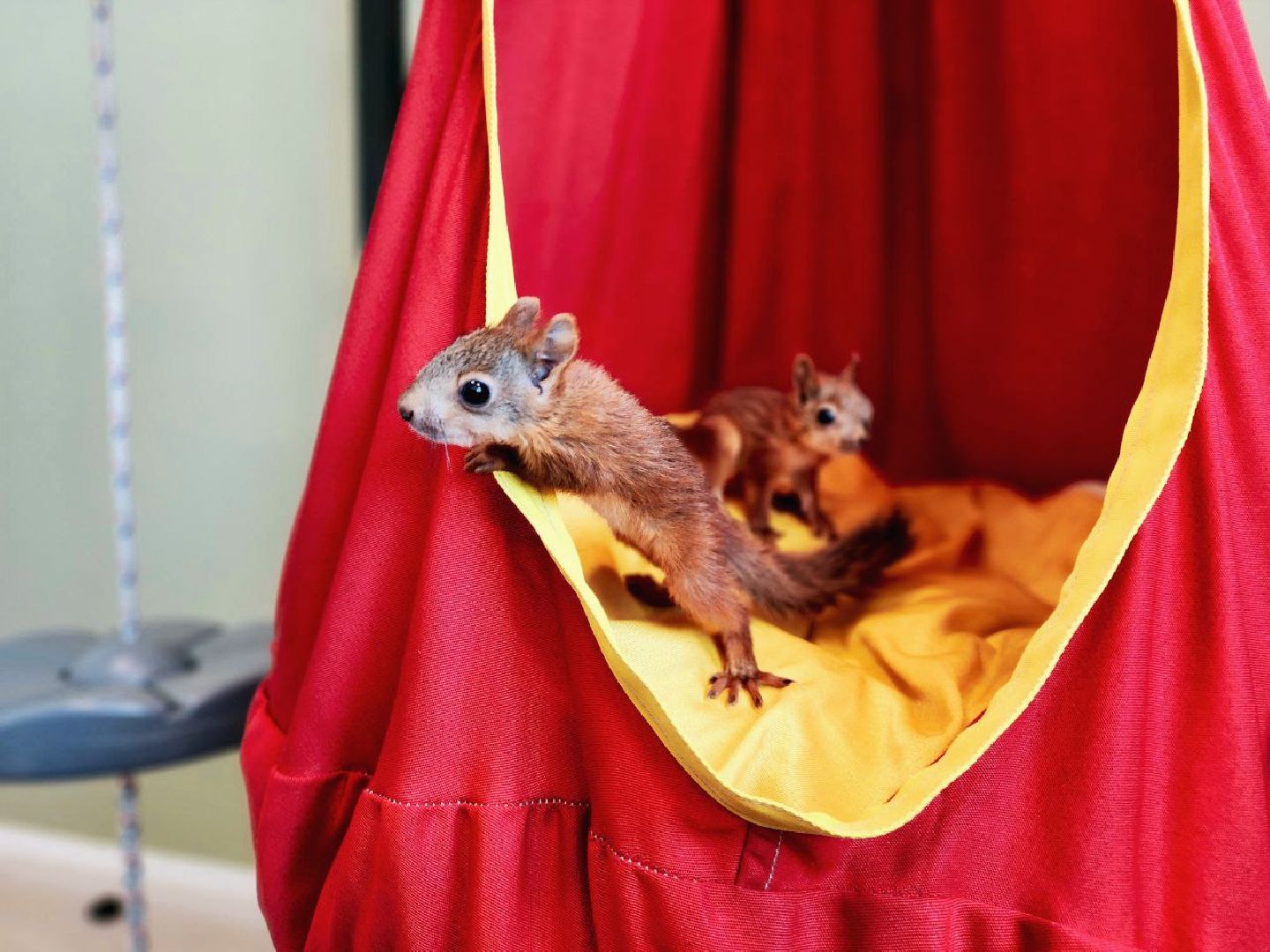 Пущино , серпухов, белки, люди,