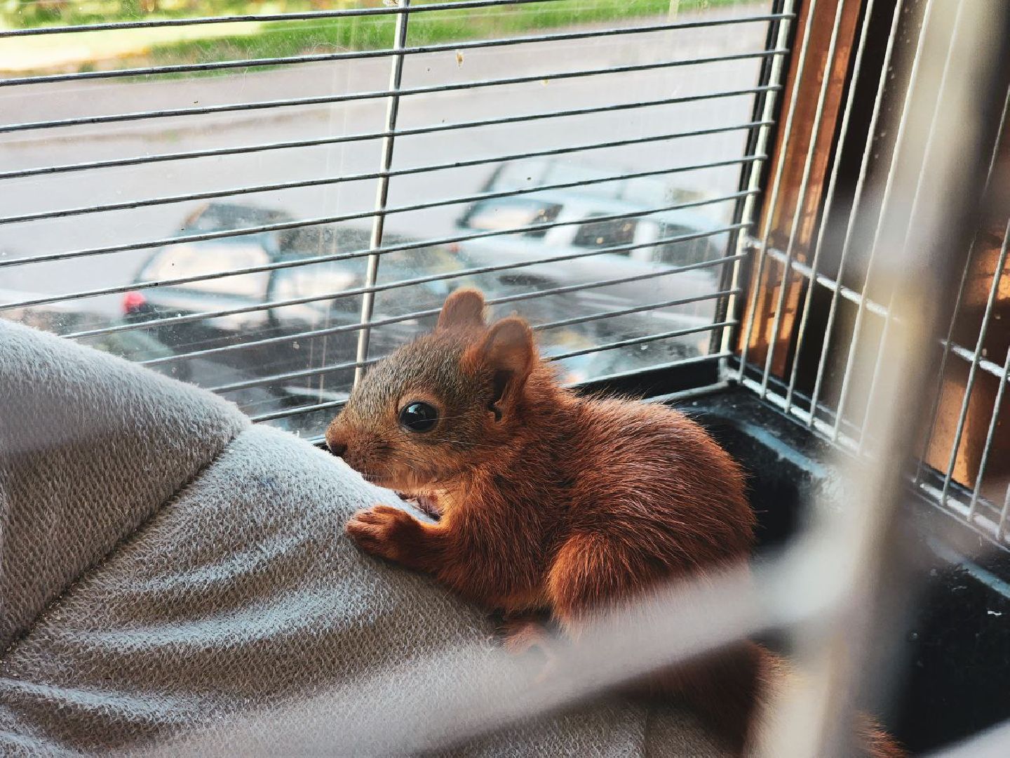 Пущино , серпухов, белки, люди,