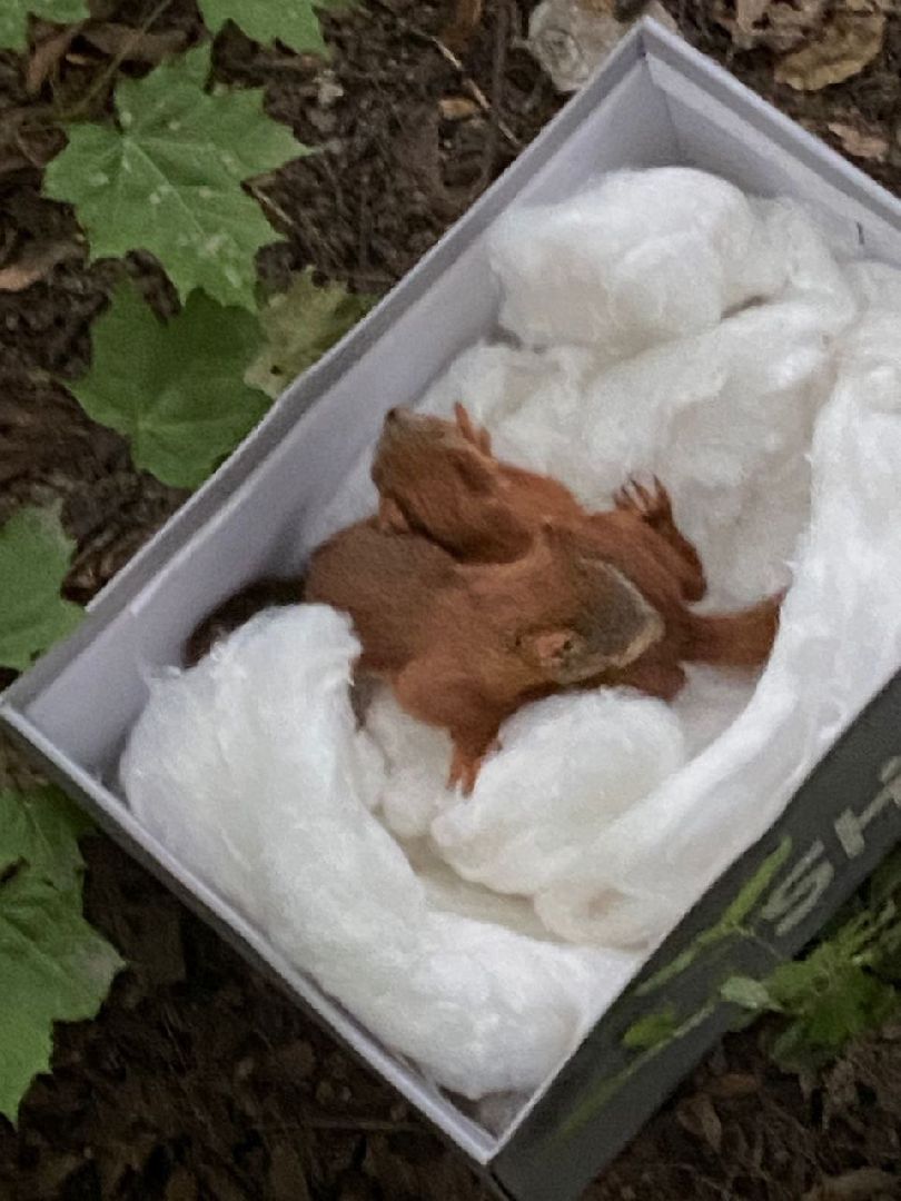 Пущино , серпухов, белки, люди,