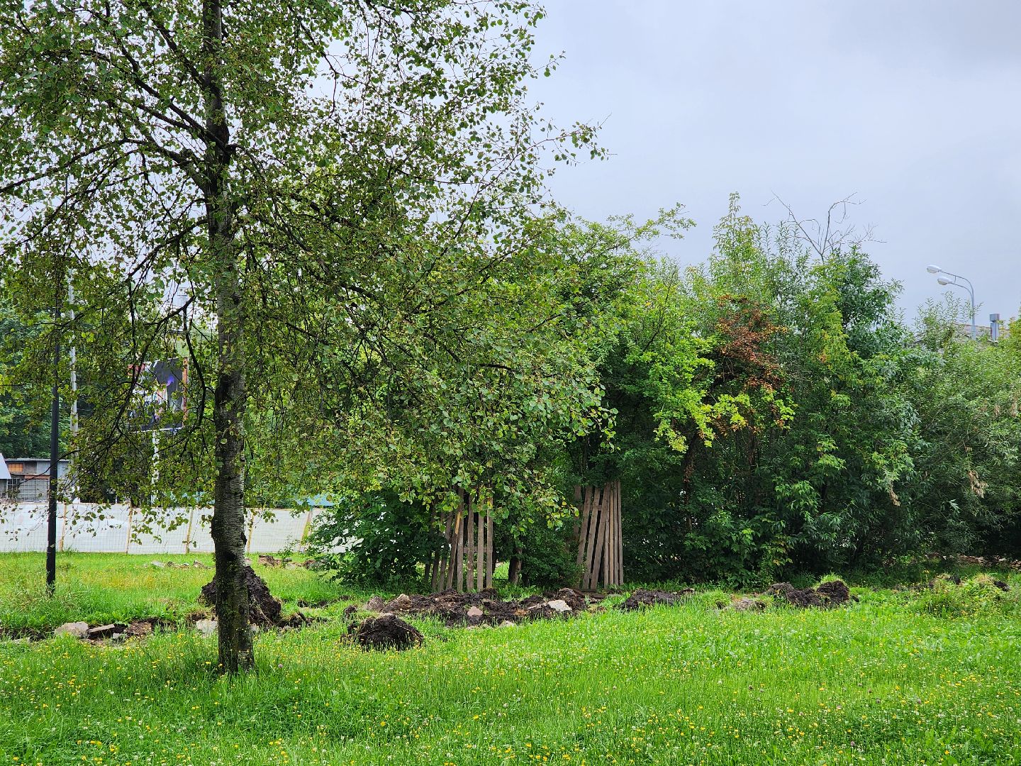 жители, благоустройство, общество, ремонт, сквер, электросталь,