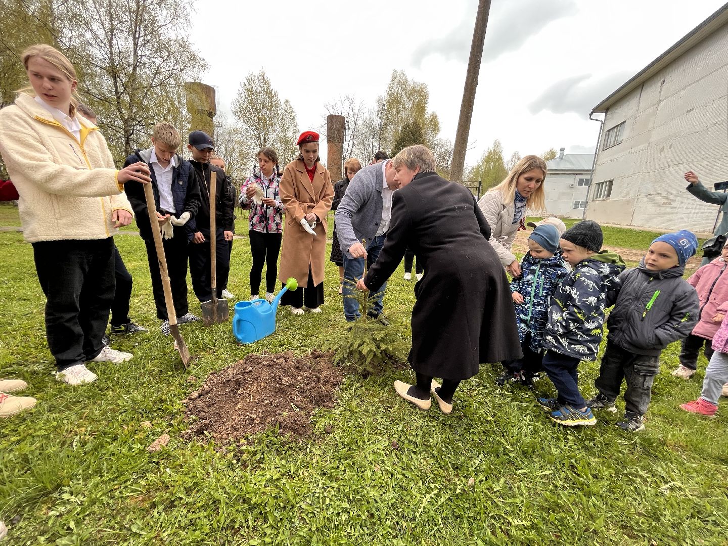 Шаховская, сад памяти, деревья