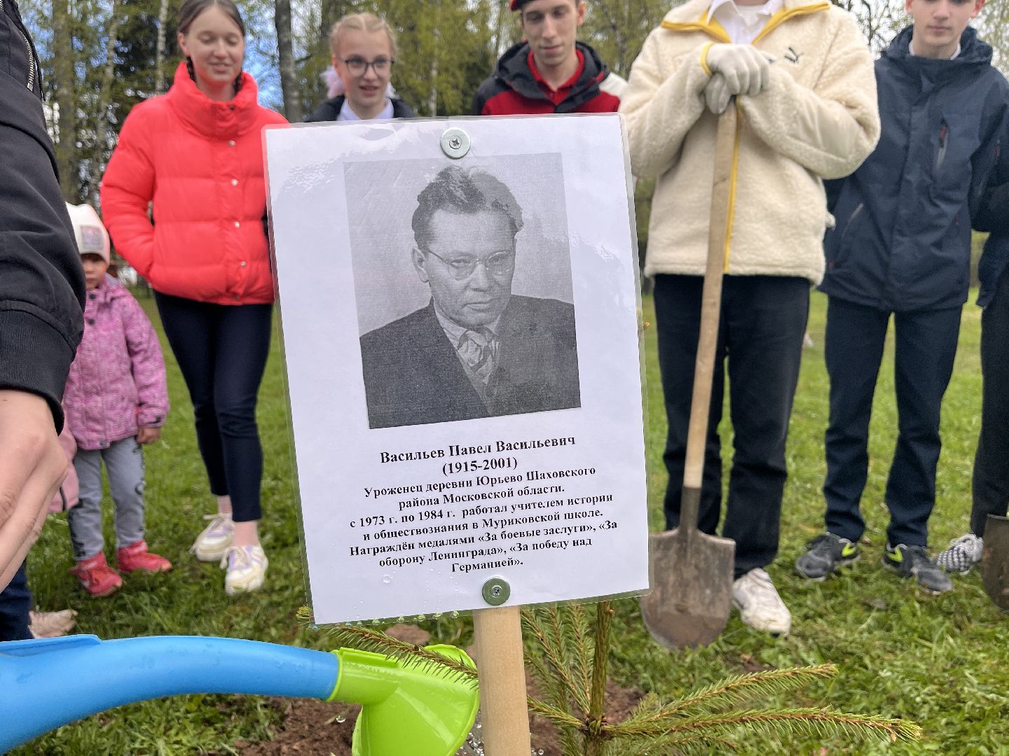 Шаховская, сад памяти, деревья