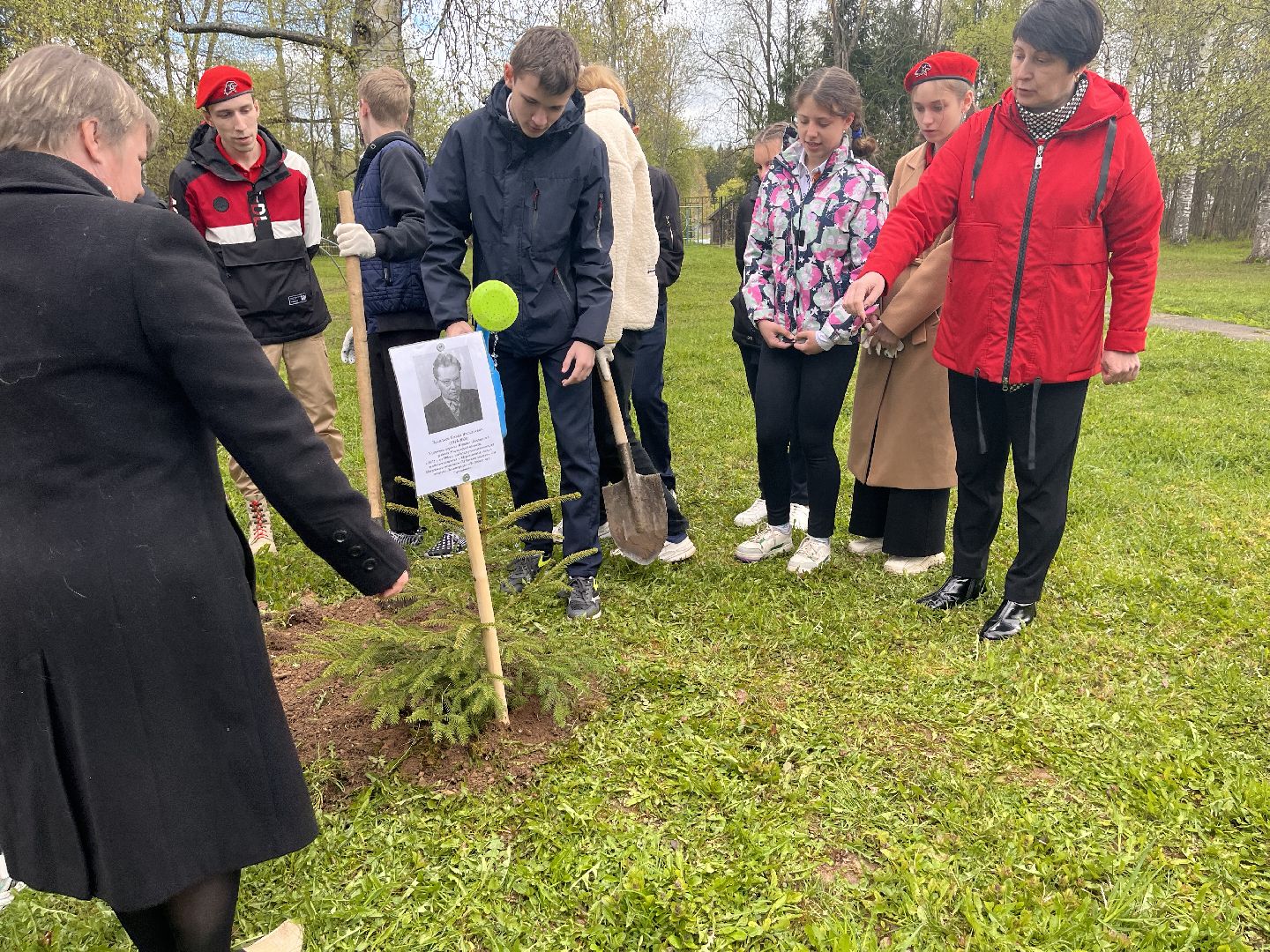 Шаховская, сад памяти, деревья