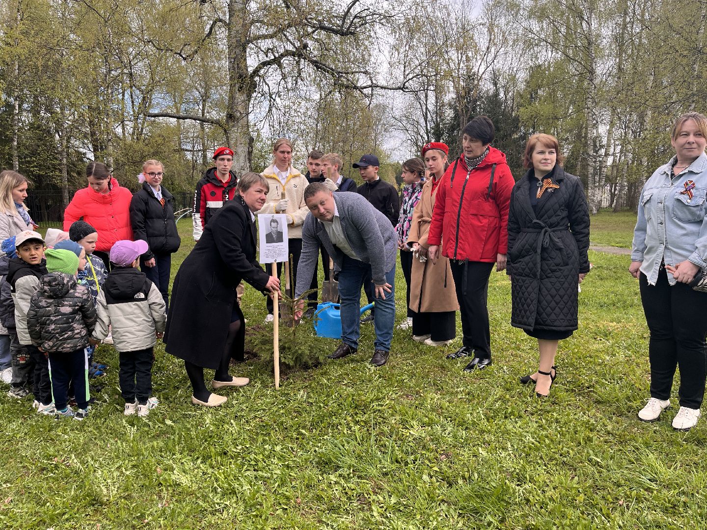 Шаховская, сад памяти, деревья