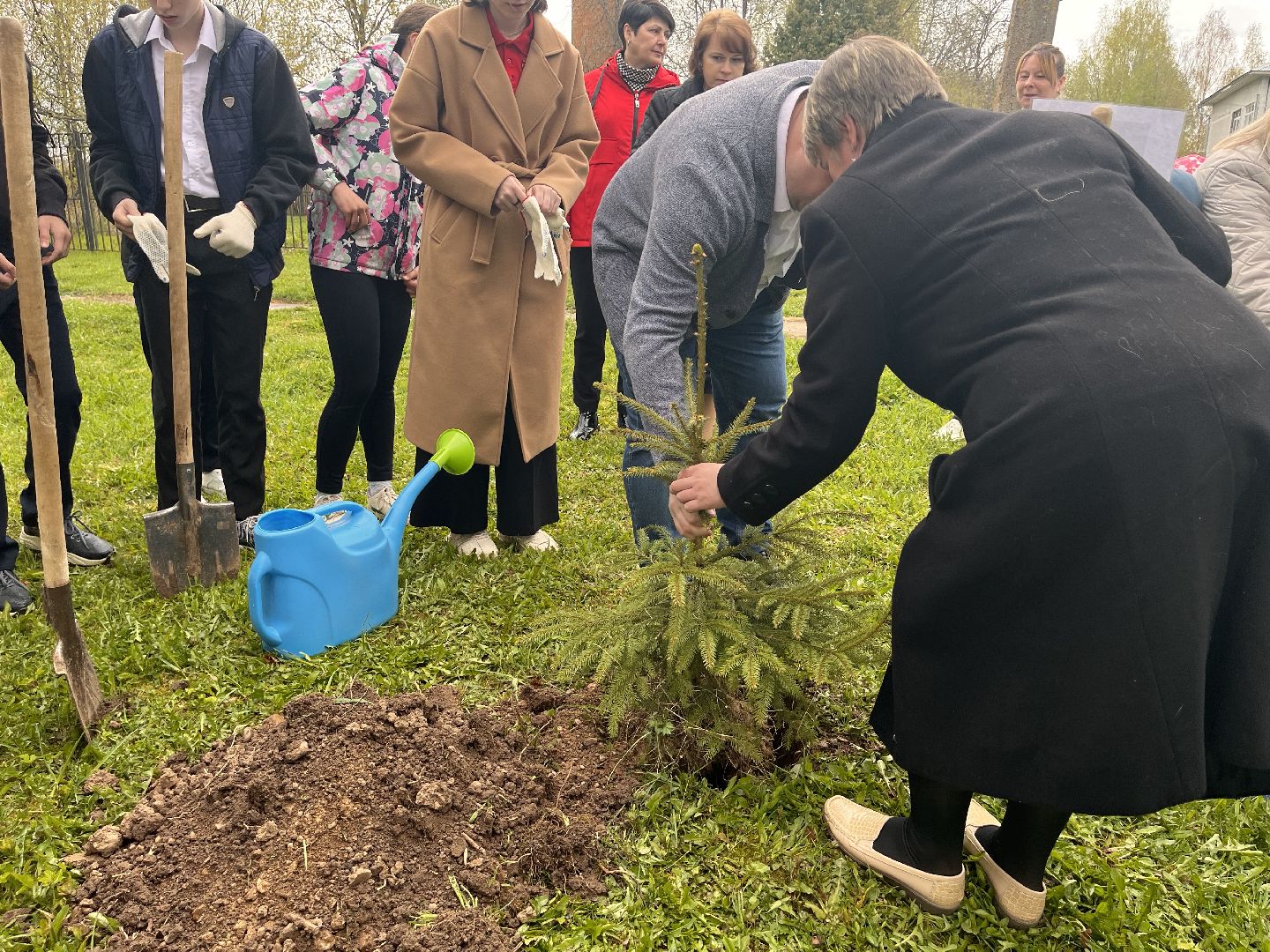 Шаховская, сад памяти, деревья