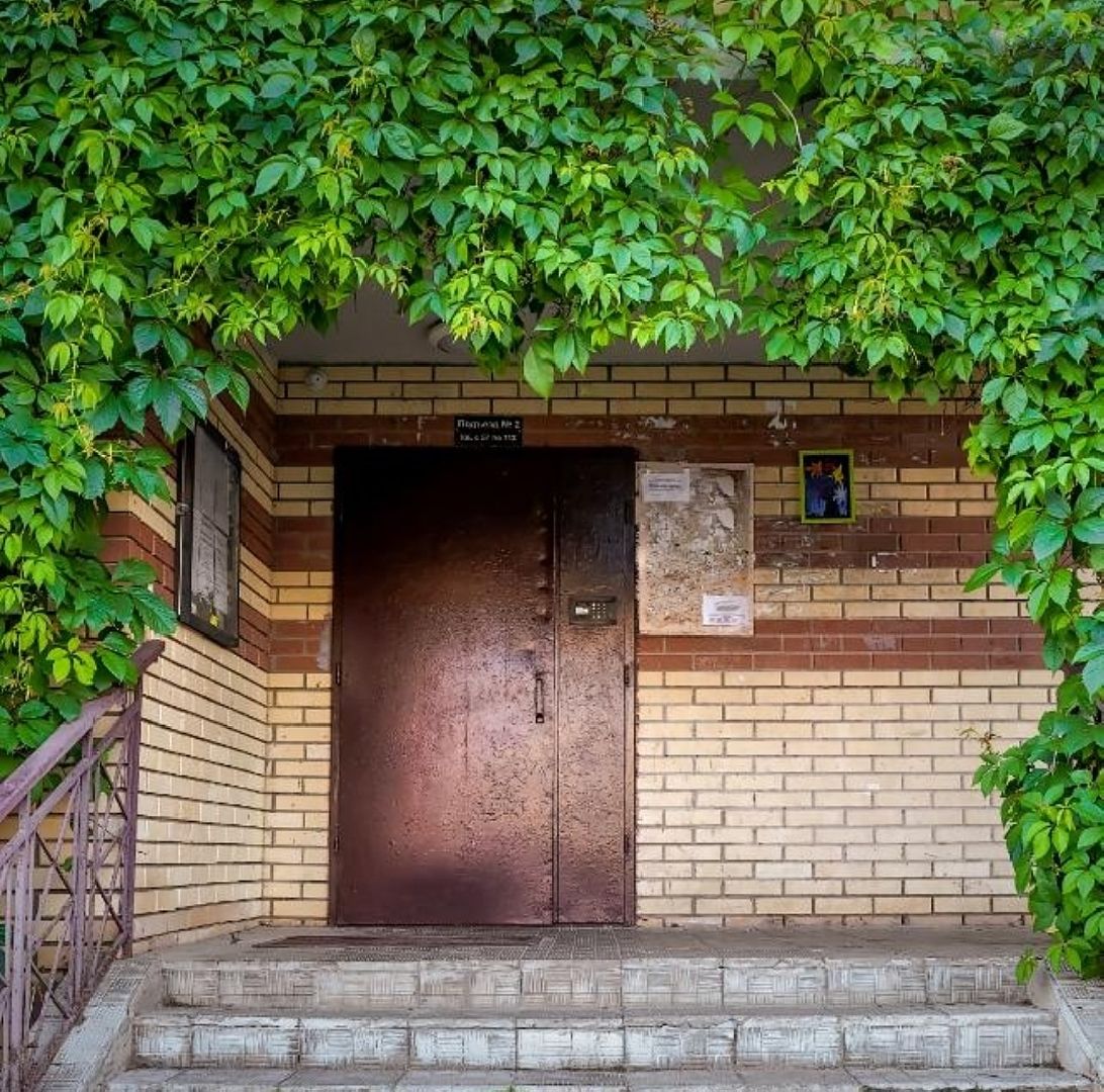 выездная администрация, цветной бульвар, власиха цветной бульвар, обращения жителей власихи, безопасность в городе,