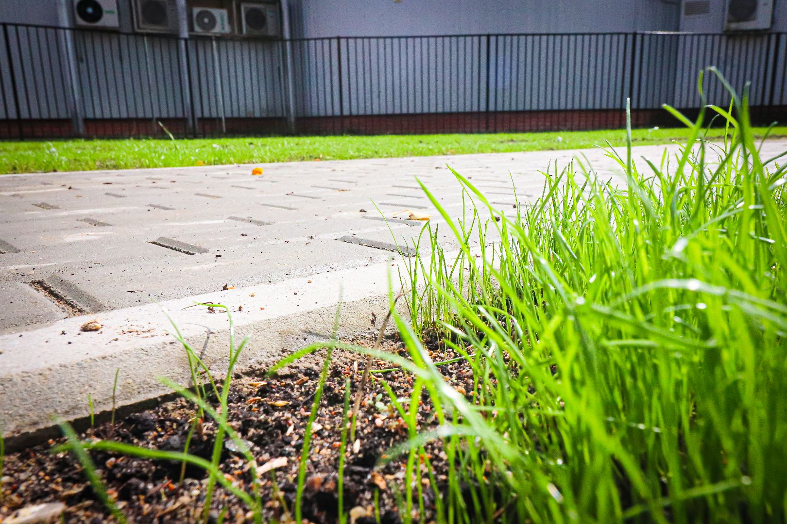 клин, общество, строительство, ремонт школы, подмосковье,