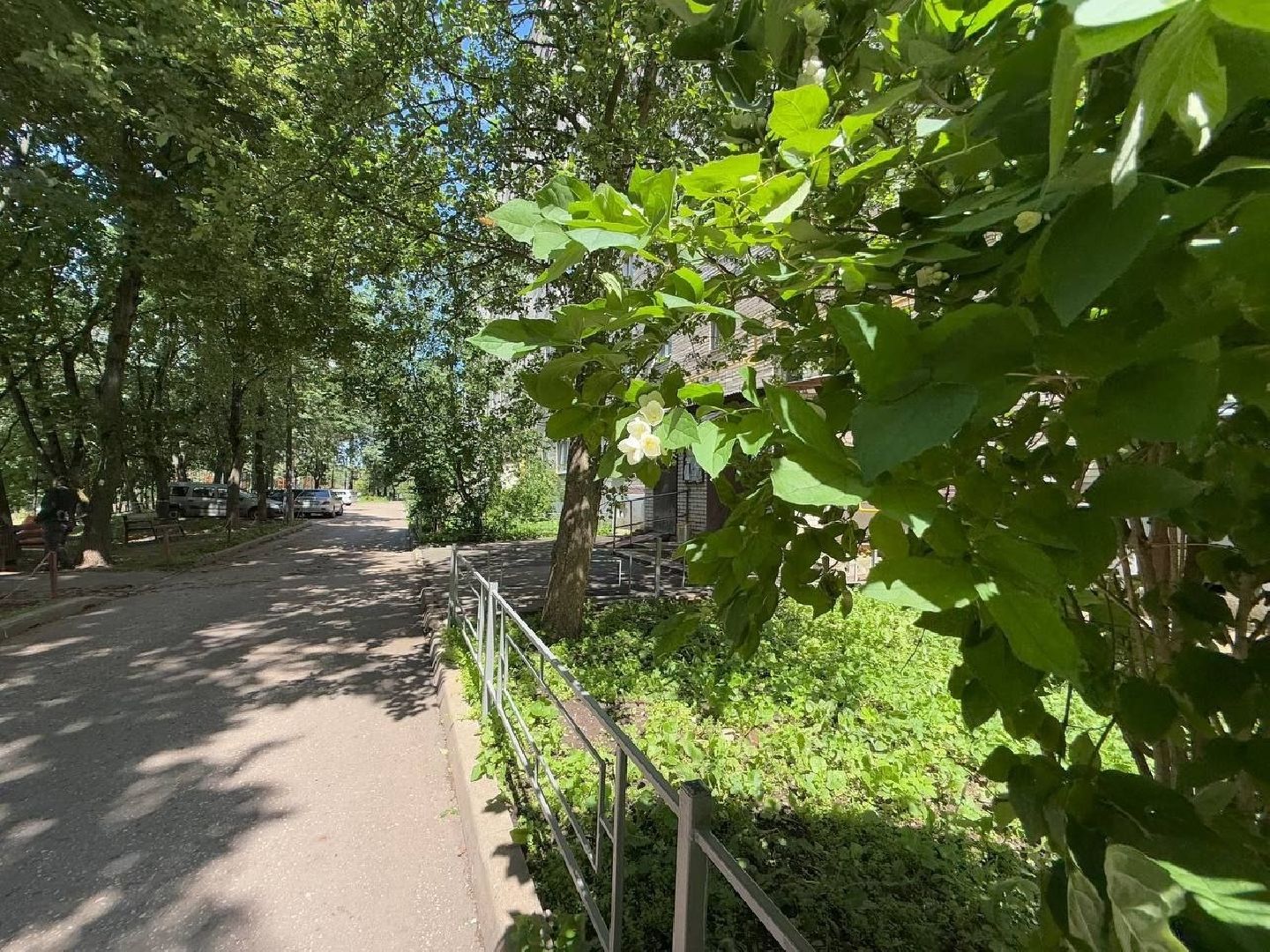 выездная администрация, власиха цветной бульвар, модернизация дип, игровая площадка, зона отдыха, цветной бульвар власиха,