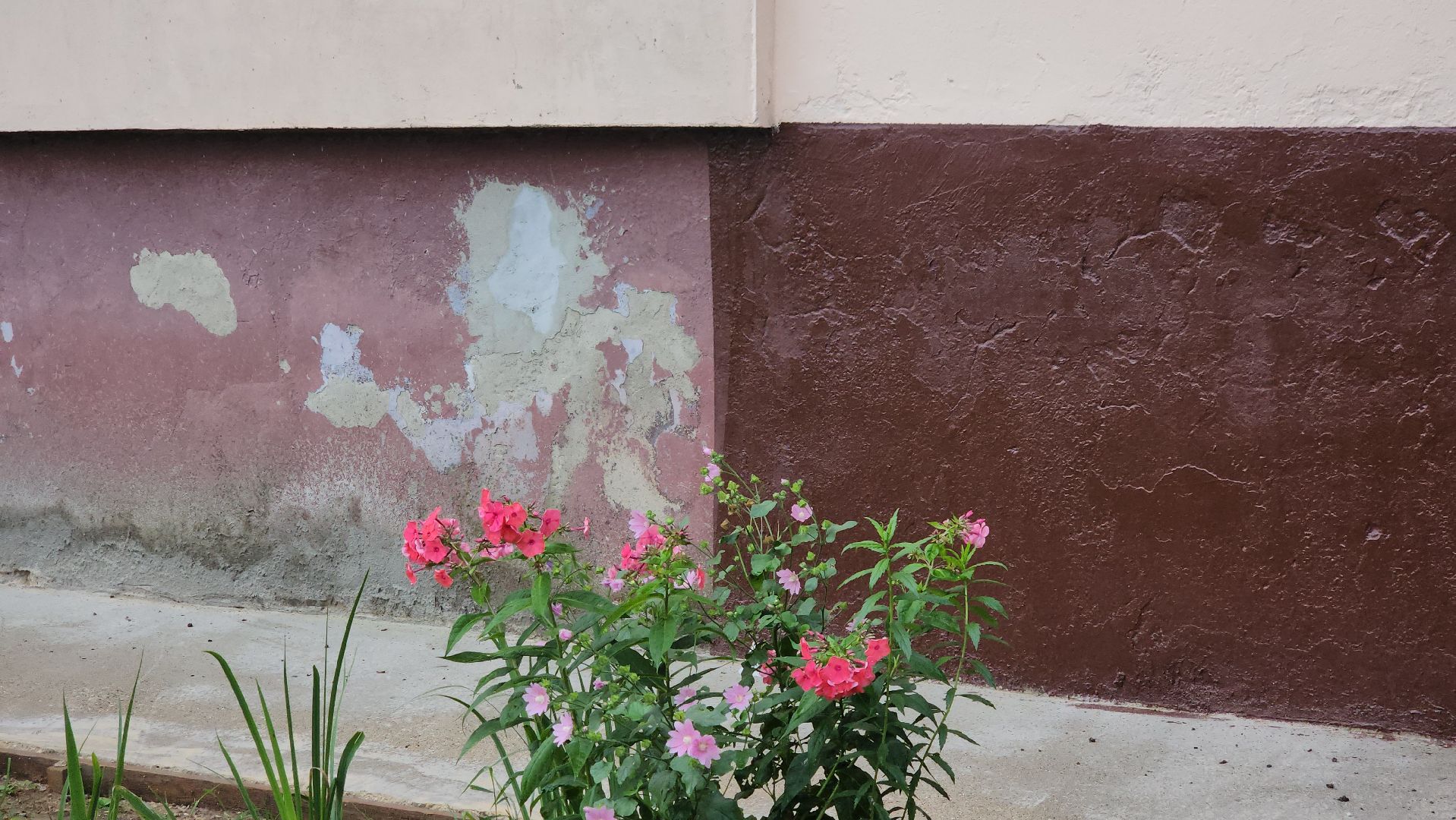 ремонт дома, Обновление фасада, щёлково, ремонт крыльца,